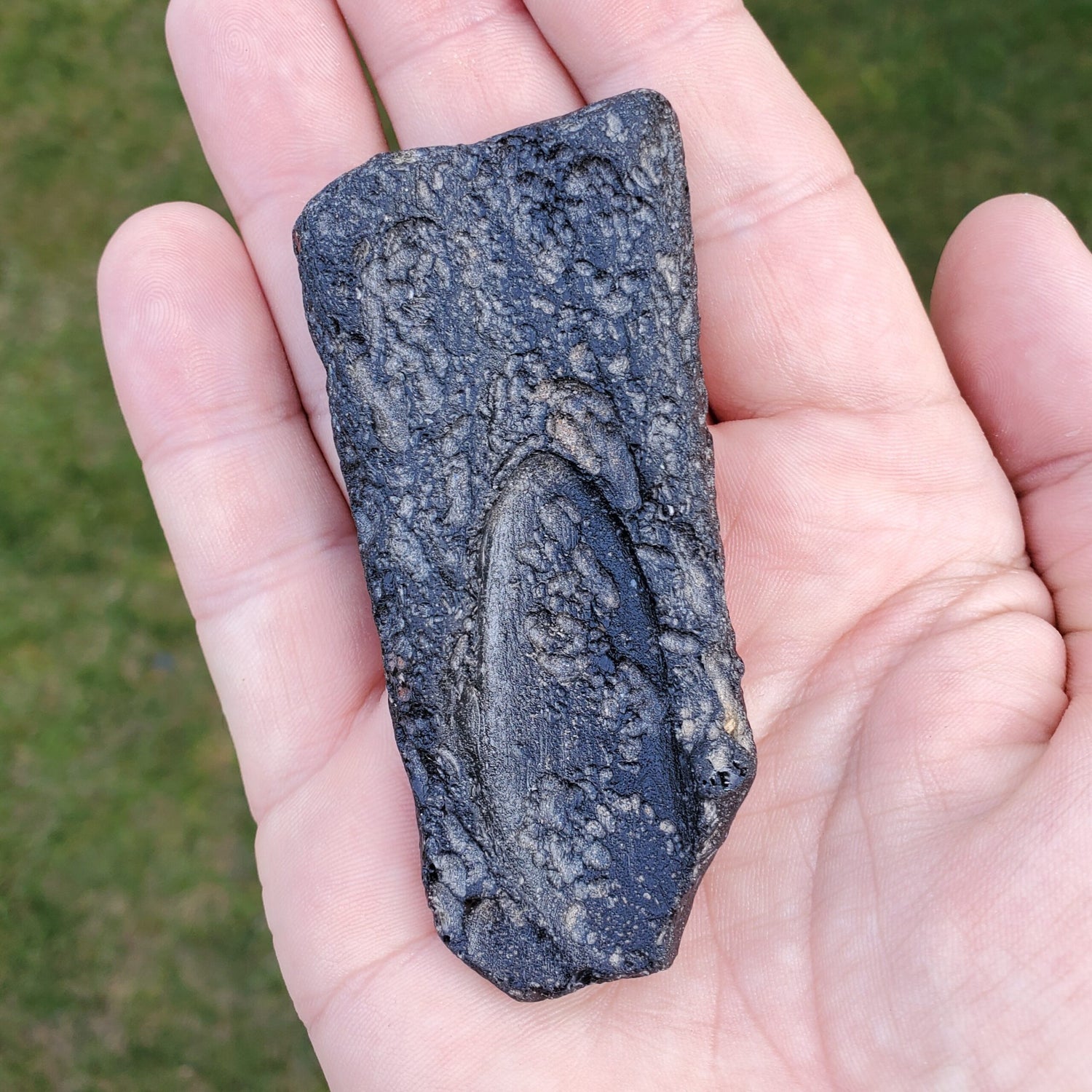 Thailand Tektite Specimen