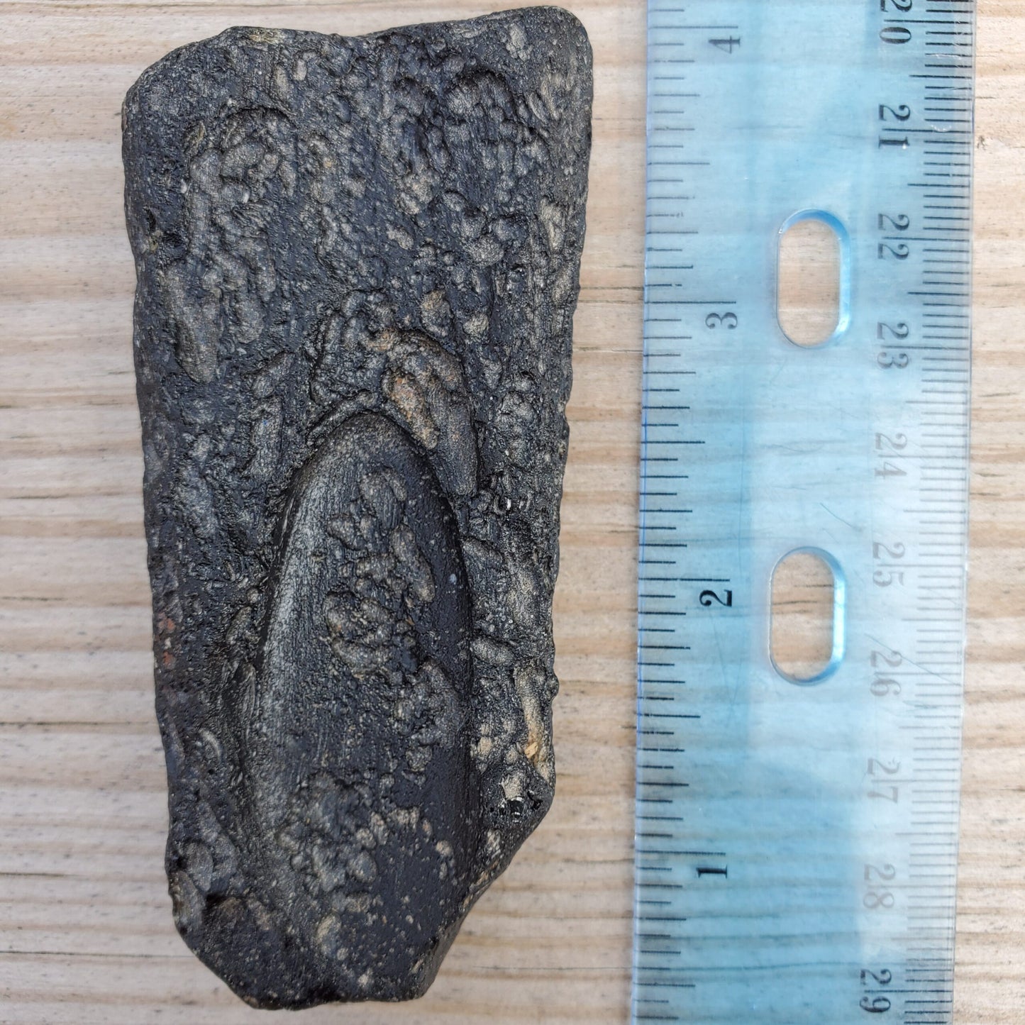 Thailand Tektite Specimen