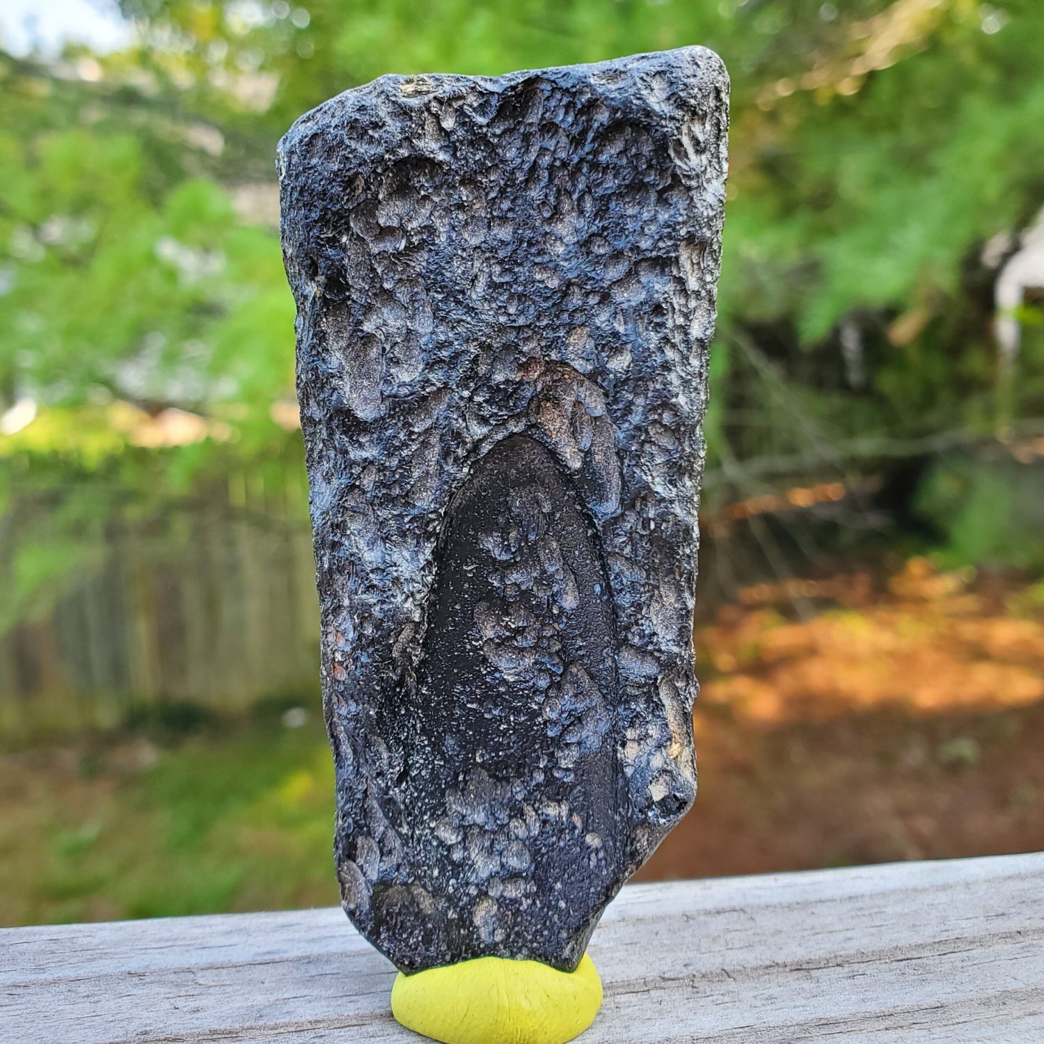 Thailand Tektite Specimen