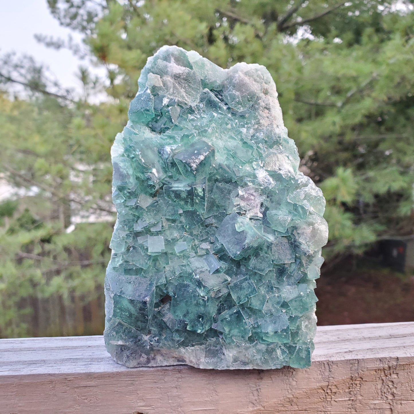 Green Fluorite Crystal Cluster
