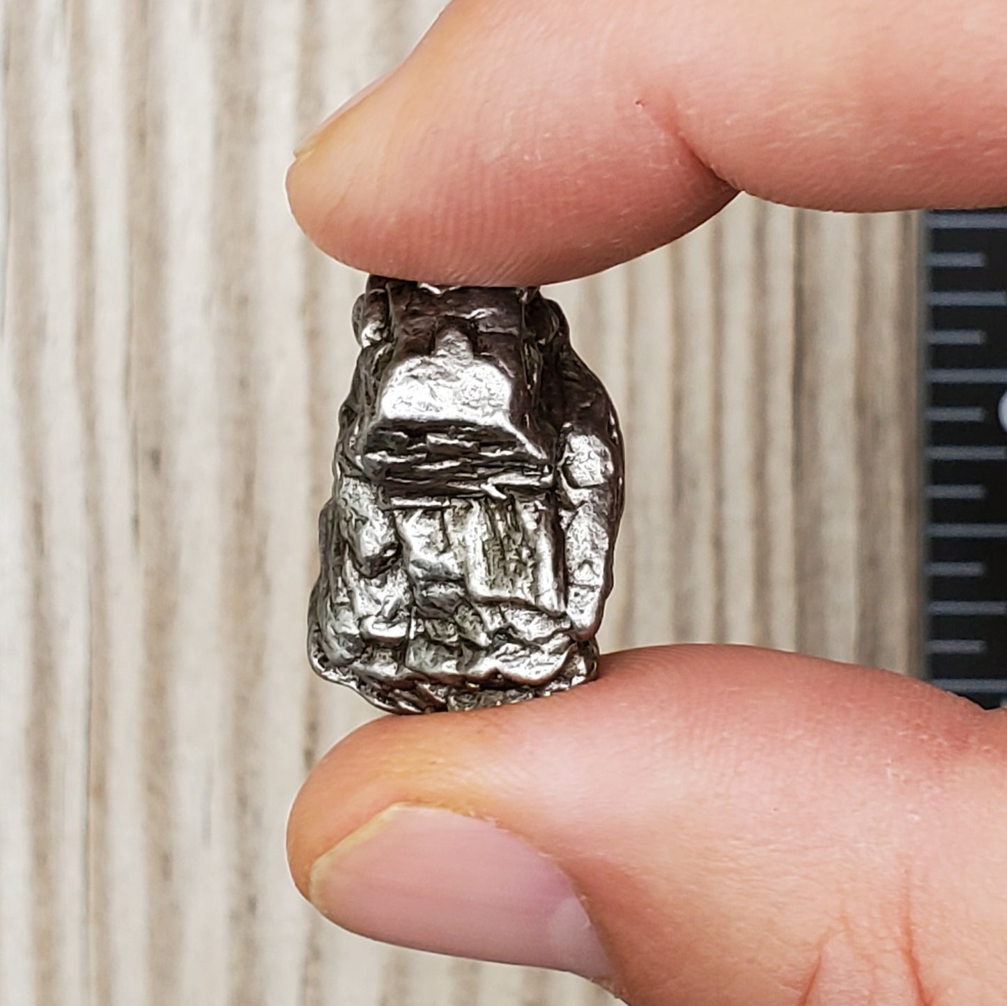 Meteorite Specimen | Campo Del Cielo | R3