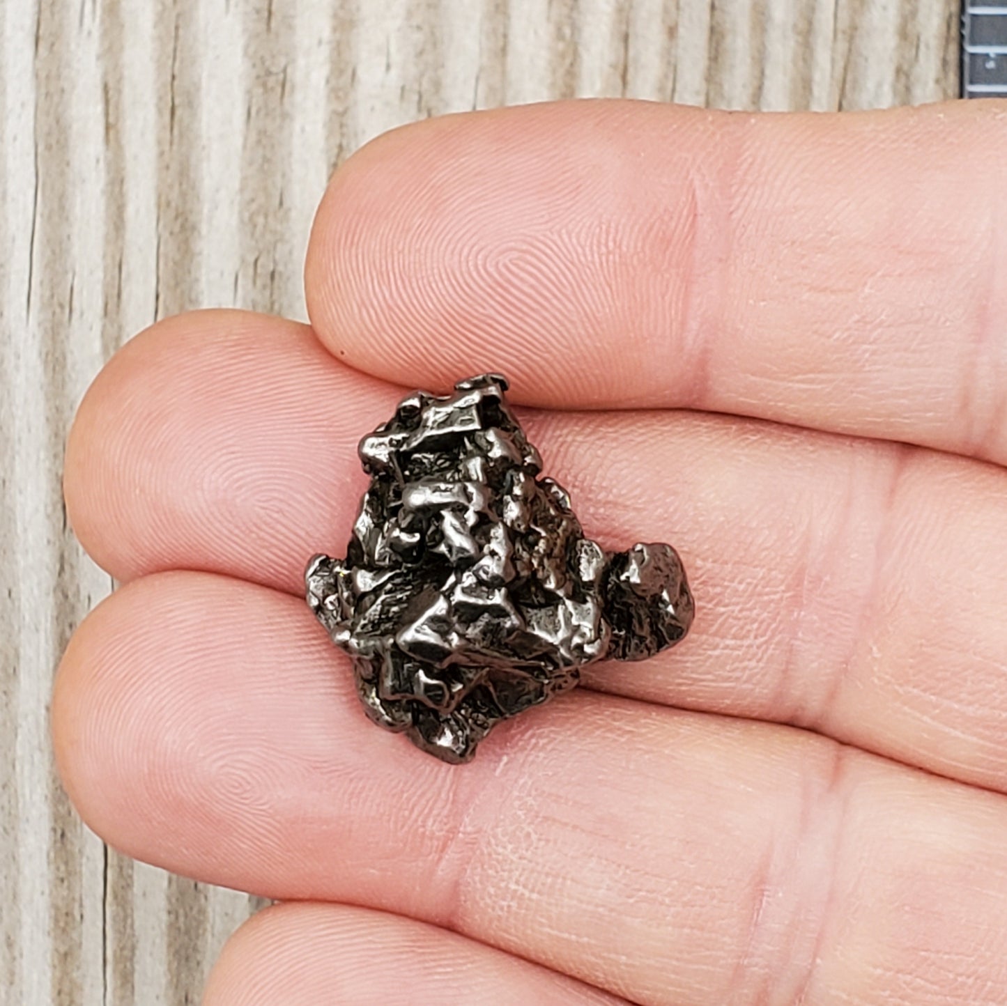 Meteorite Specimen | Campo Del Cielo | R5