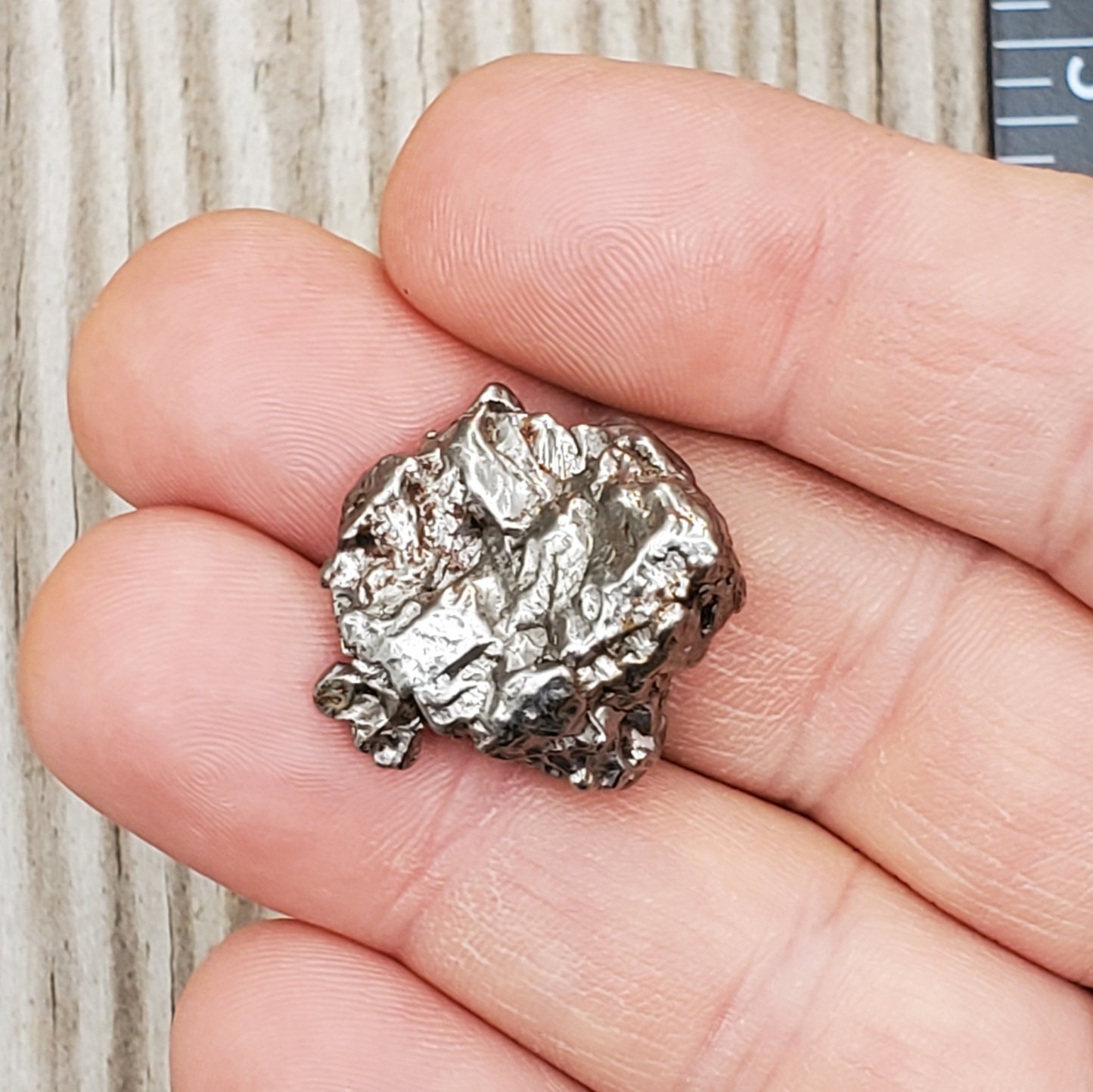 Meteorite Specimen | Campo Del Cielo | R8