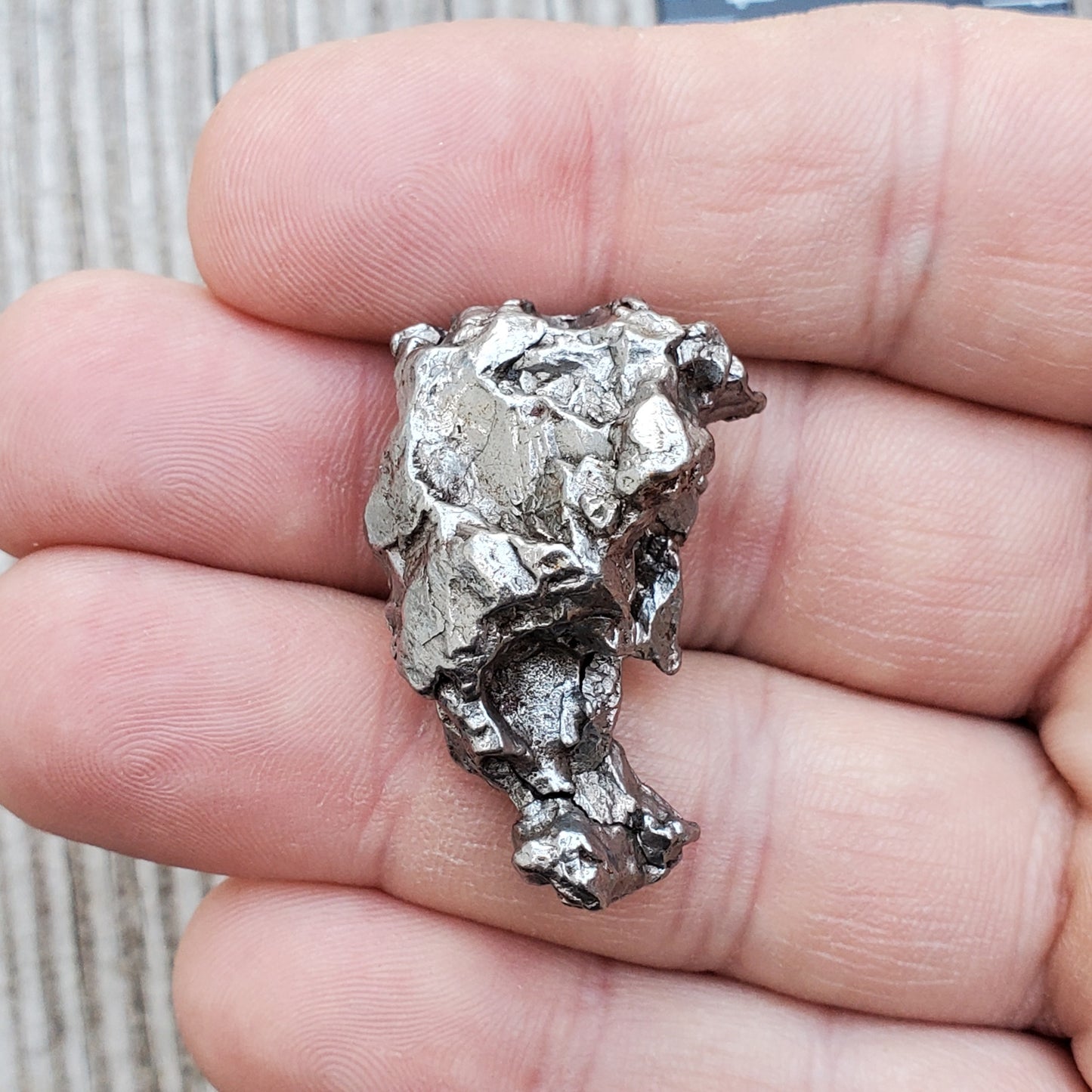 Meteorite Specimen | Campo Del Cielo | S1