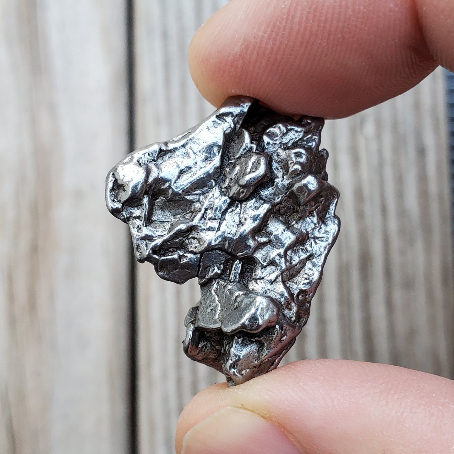 Meteorite Specimen | Campo Del Cielo | S2
