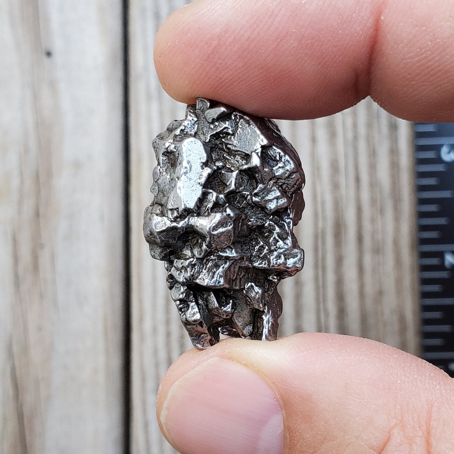 Meteorite Specimen | Campo Del Cielo | S3