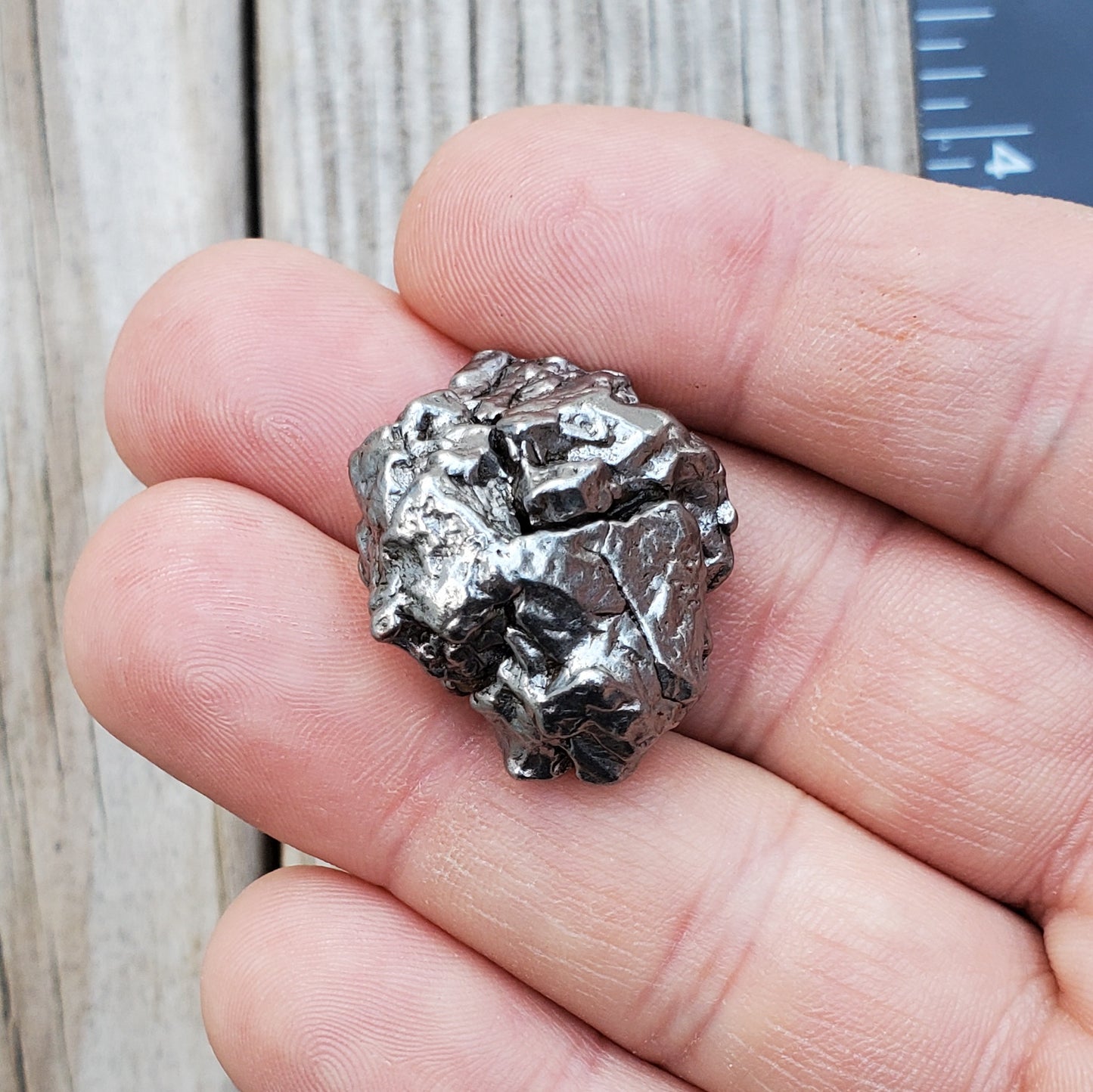 Meteorite Specimen | Campo Del Cielo | S5