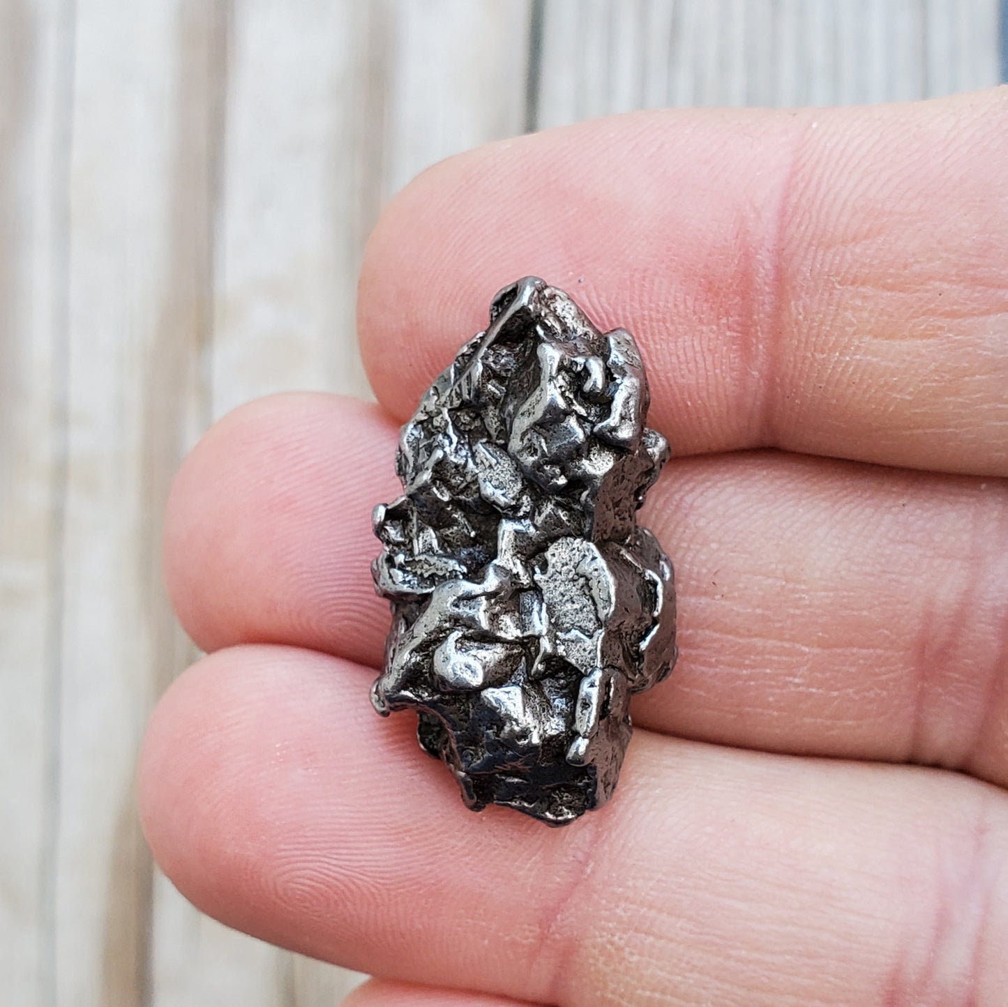 Meteorite Specimen