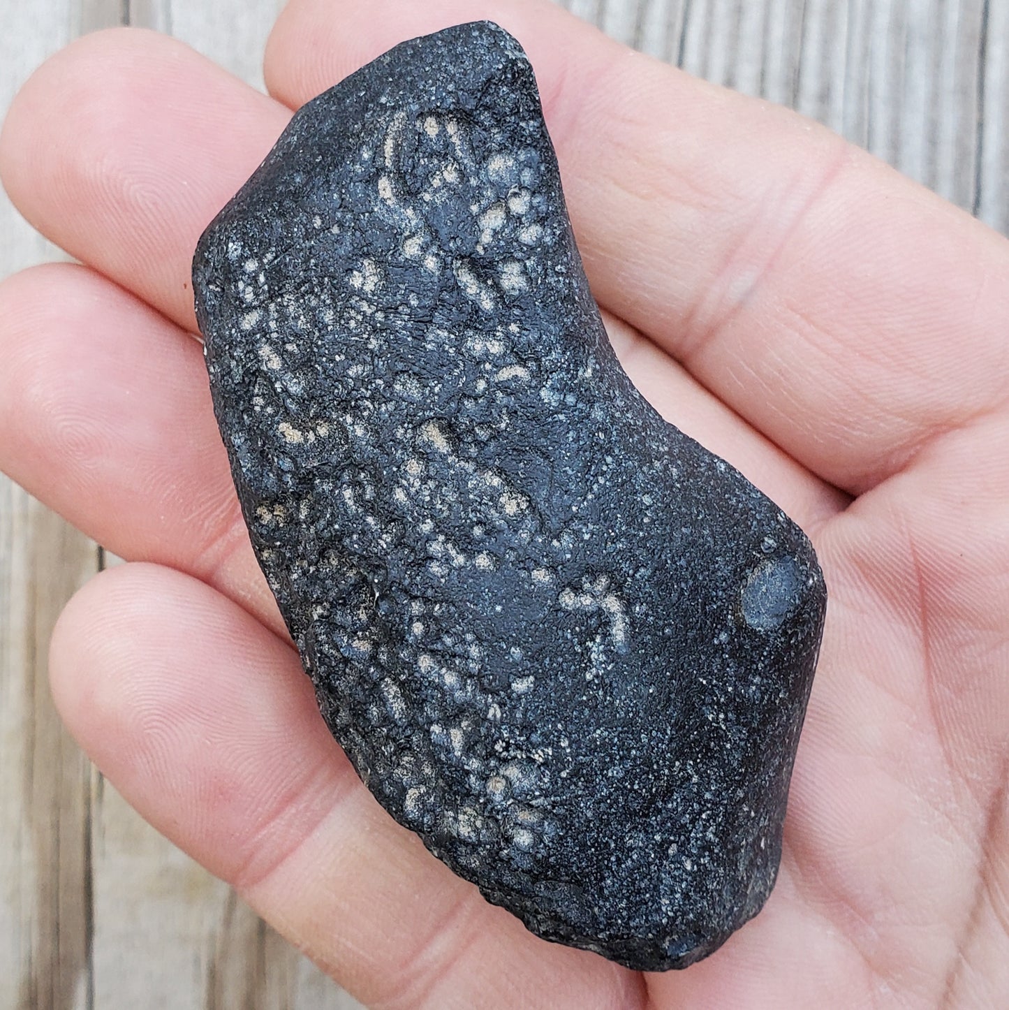 Huge Thailand Tektite Specimen | Tek8