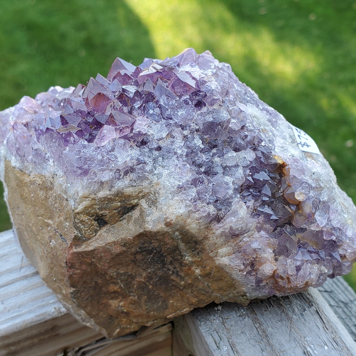 Amethyst Cluster Medium Thunder Bay