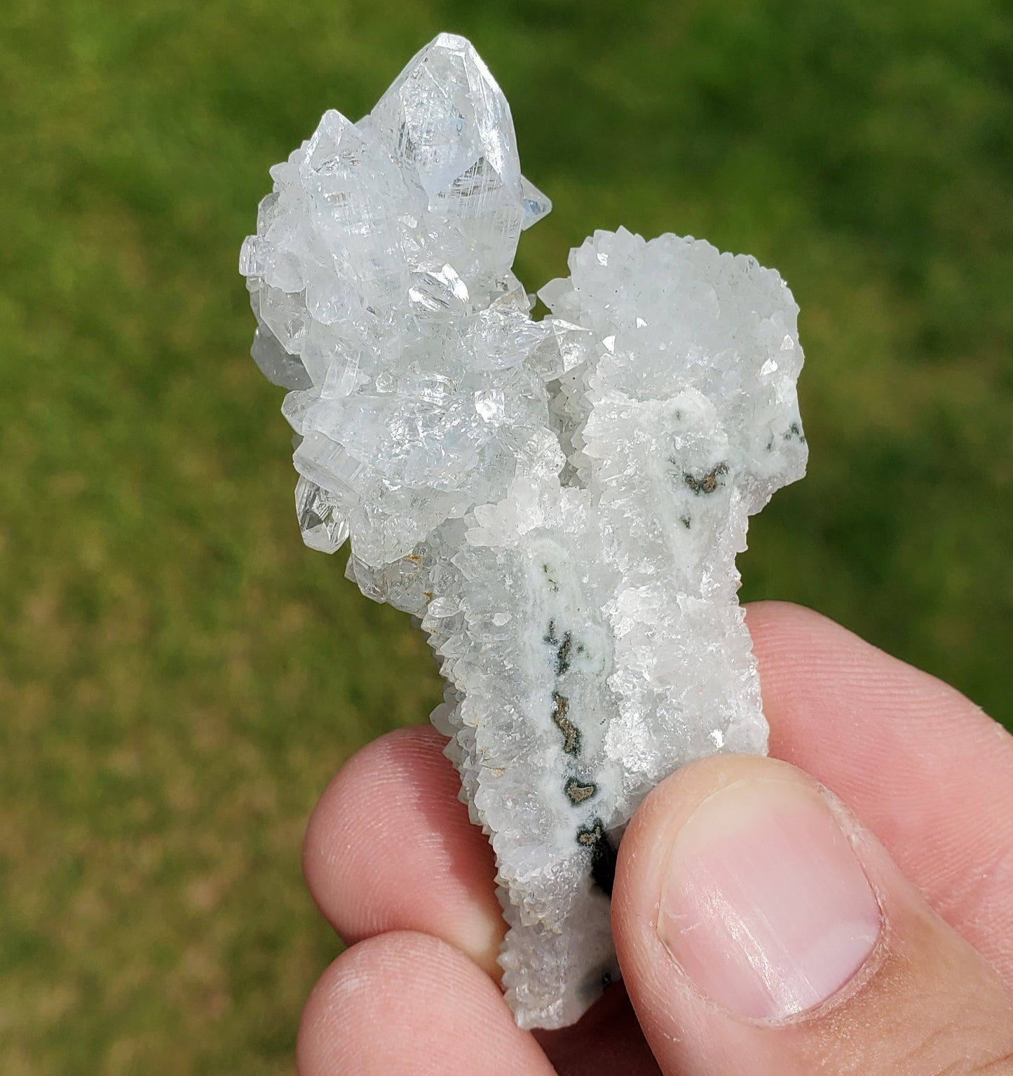 Apophyllite Cluster #B2F