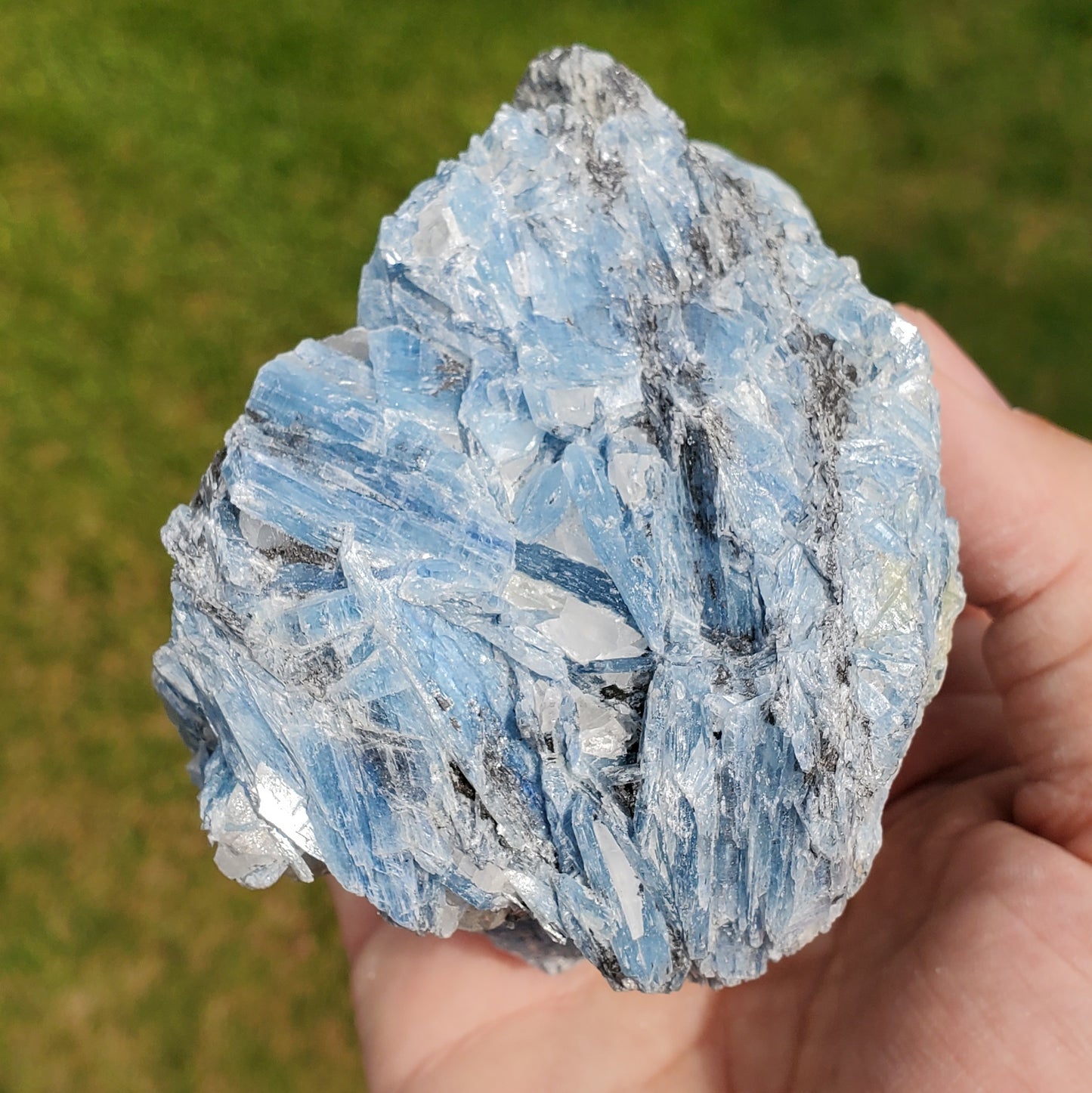 Aqua Blue Kyanite Clusters | 4 LB Box - The Meteorite Traders