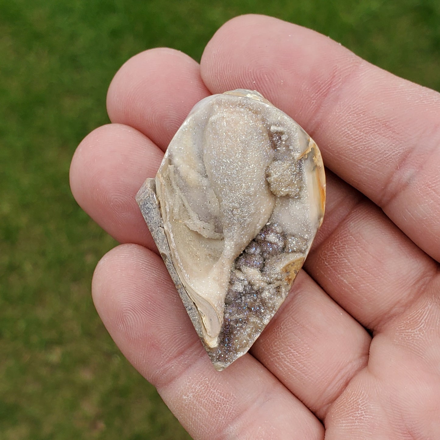Spiralite Druzy Fossil Specimen SP16
