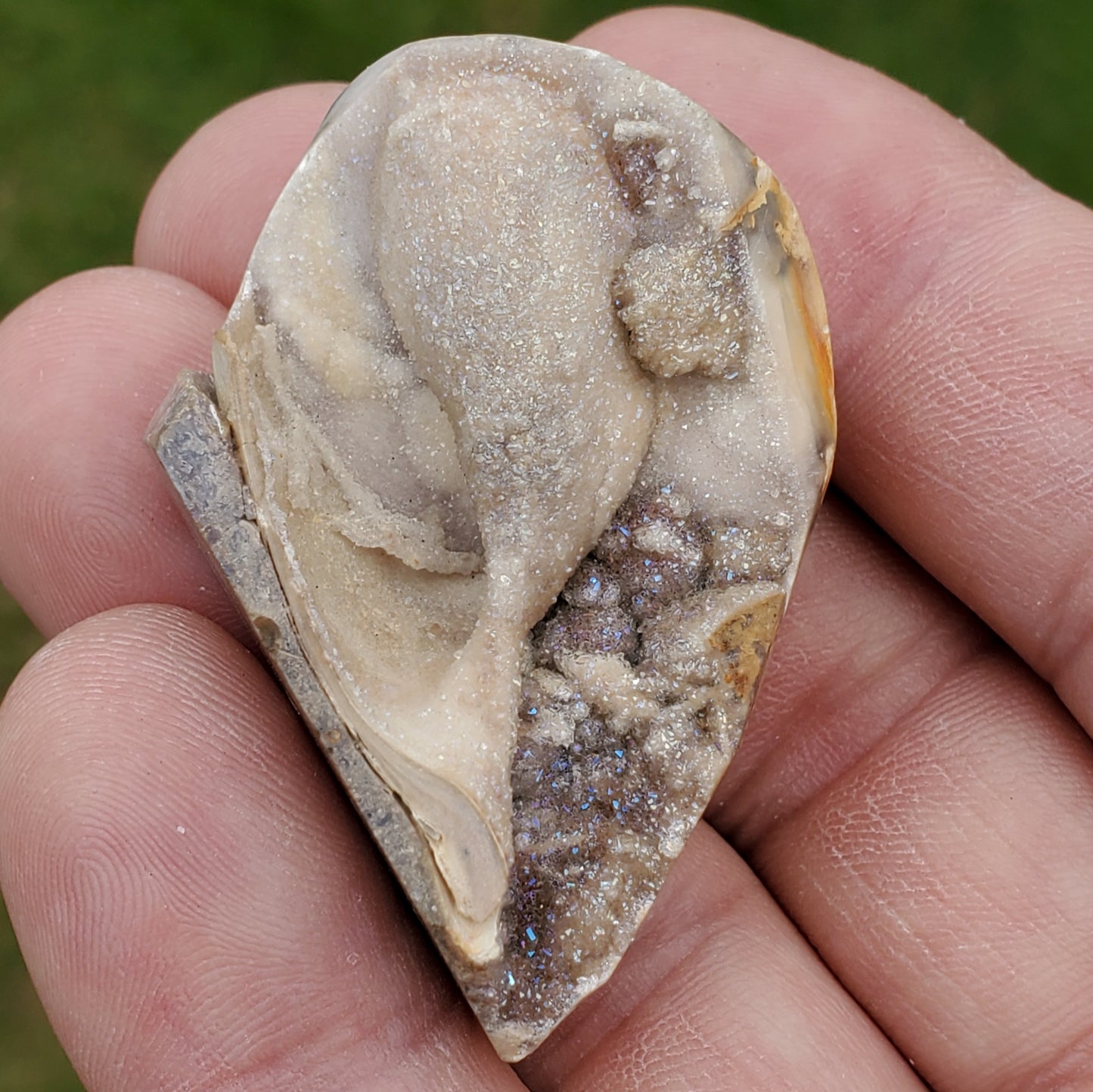 Spiralite Druzy Fossil Specimen SP16