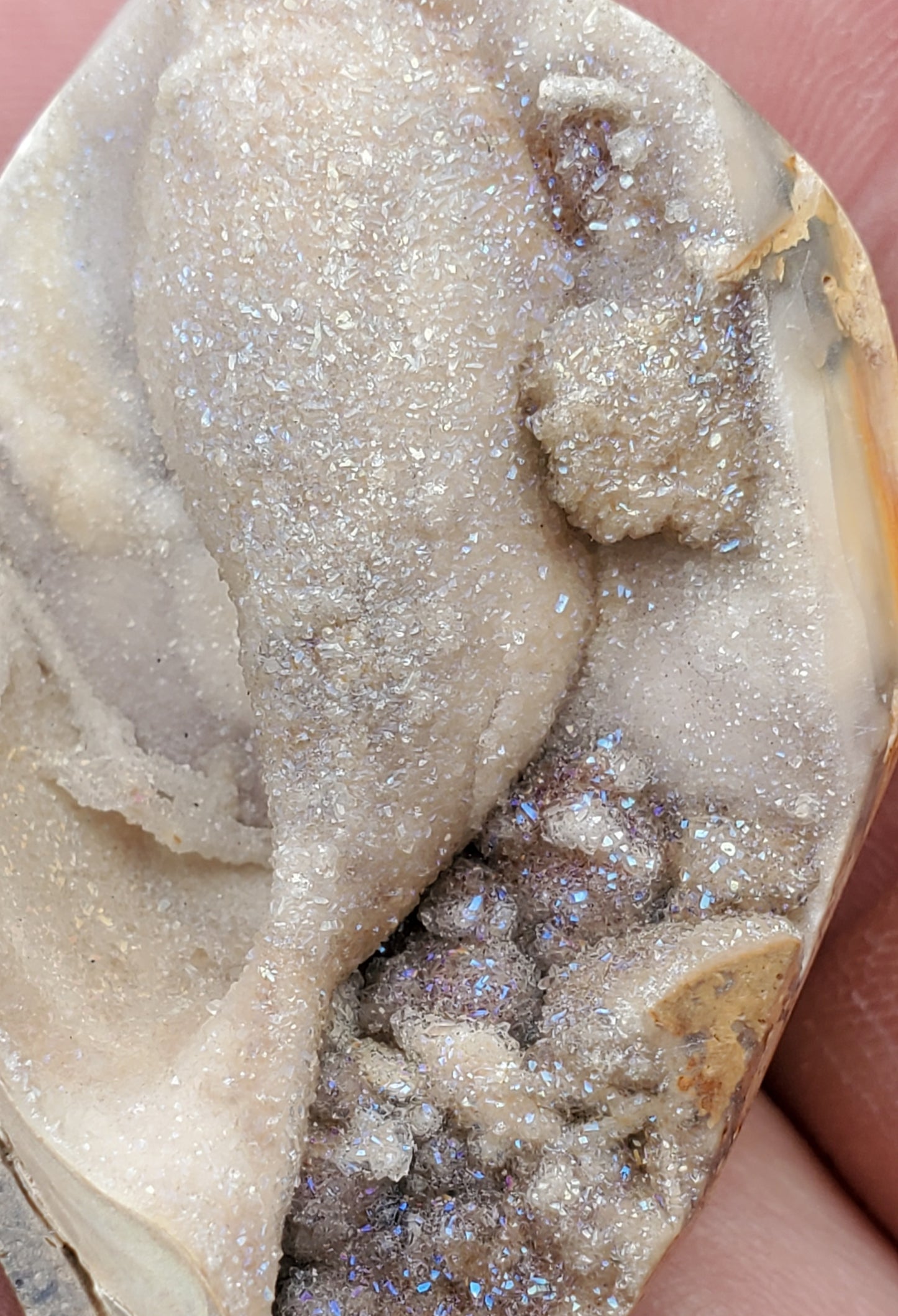 Spiralite Druzy Fossil Specimen SP16