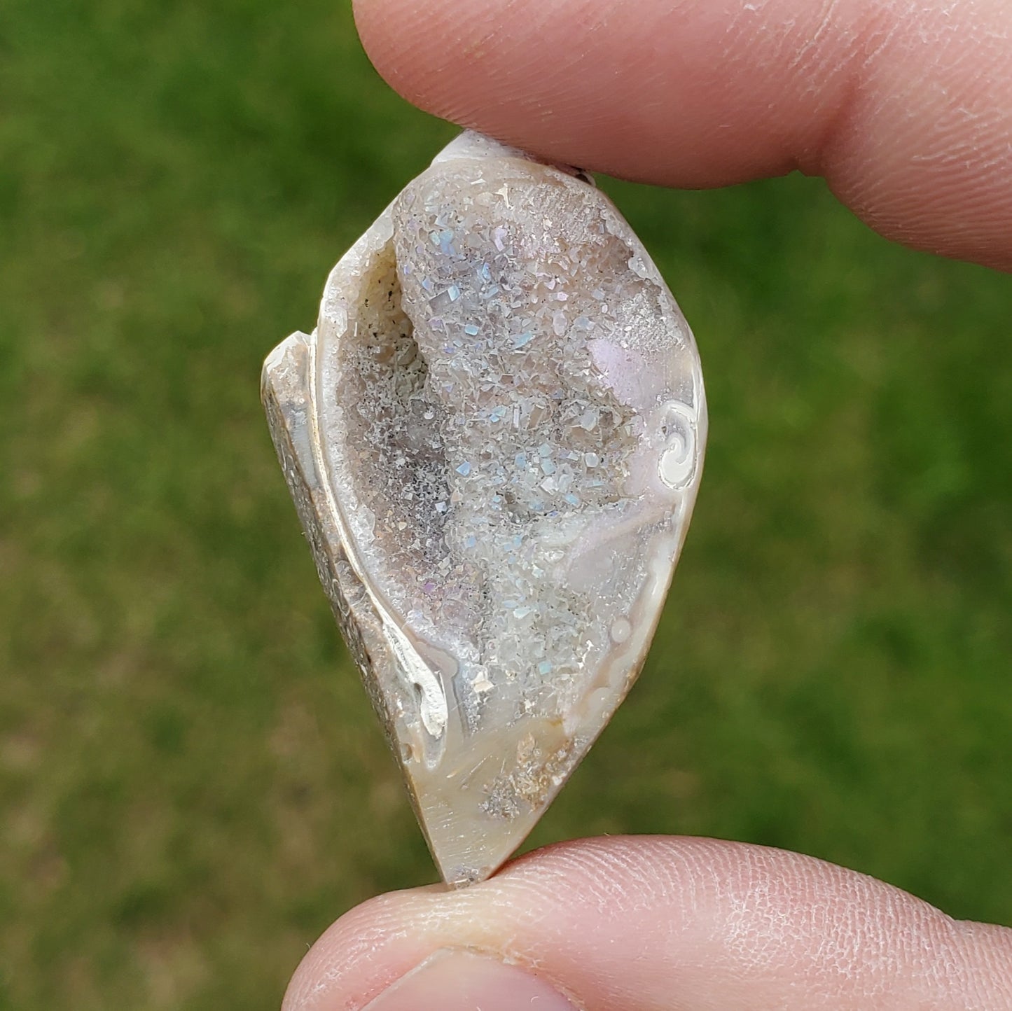 SPIRALITE Druzy Fossil Pendant SPP16