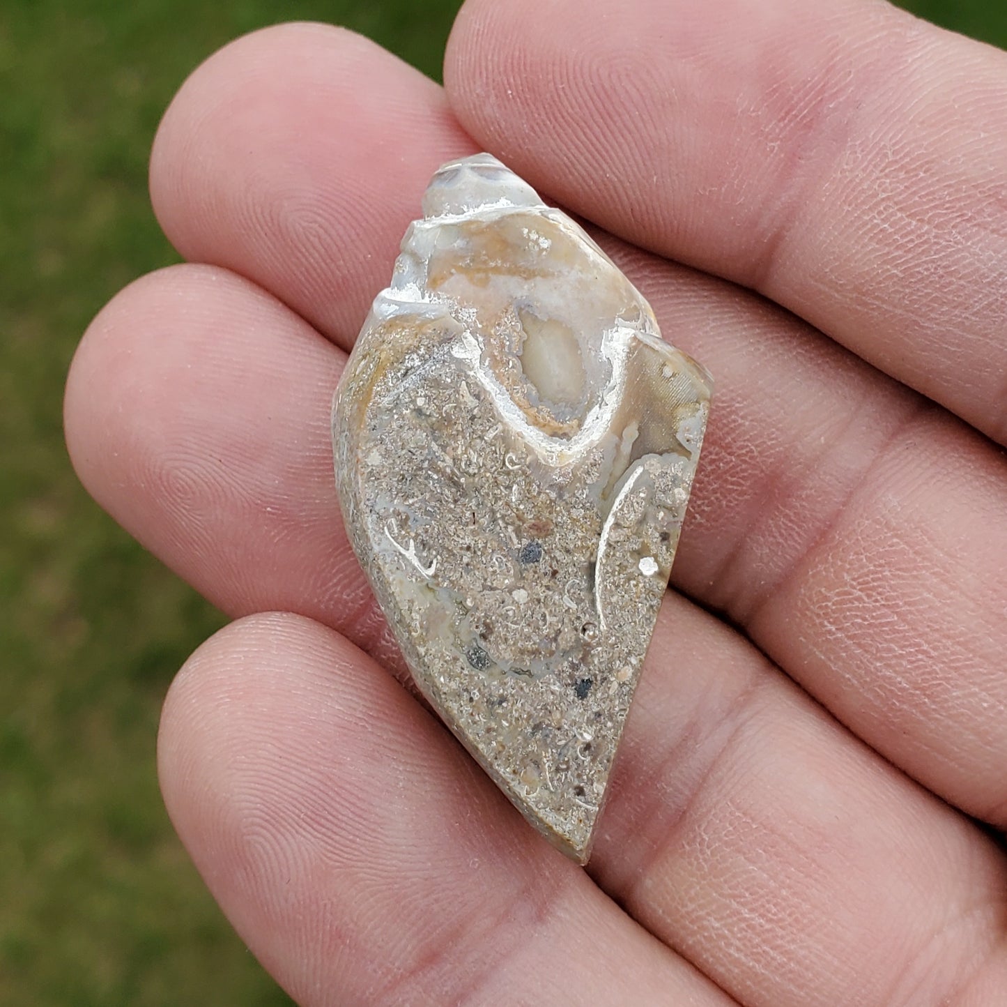 SPIRALITE Druzy Fossil Pendant SPP16