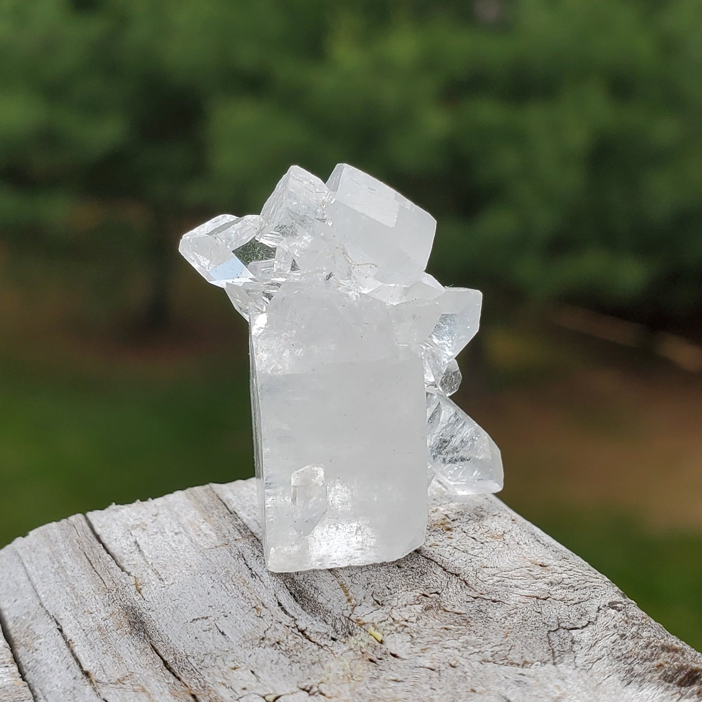 Apophyllite Small Cluster APO4-3