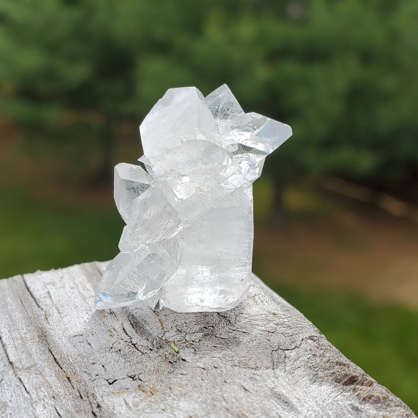 Apophyllite Small Cluster APO4-3