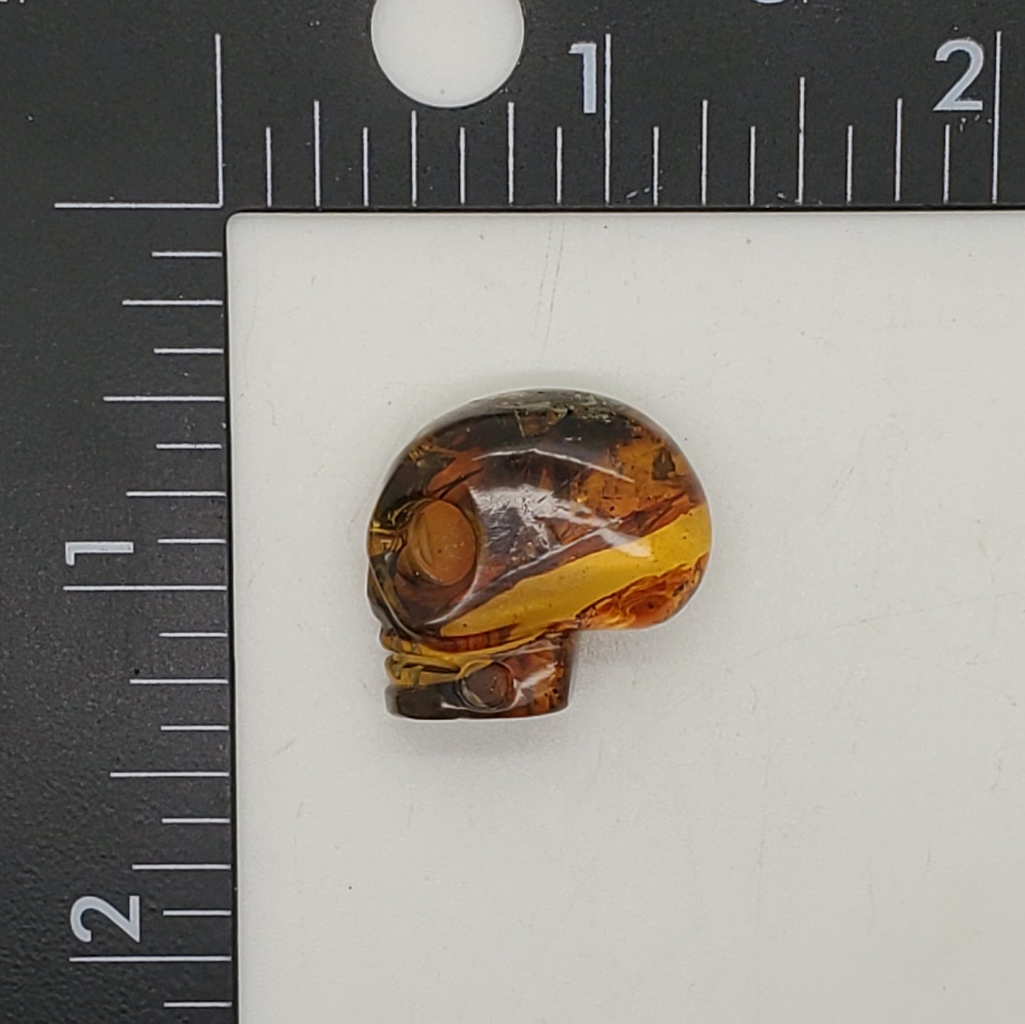 Skull Amber Carving Profile Cabochon