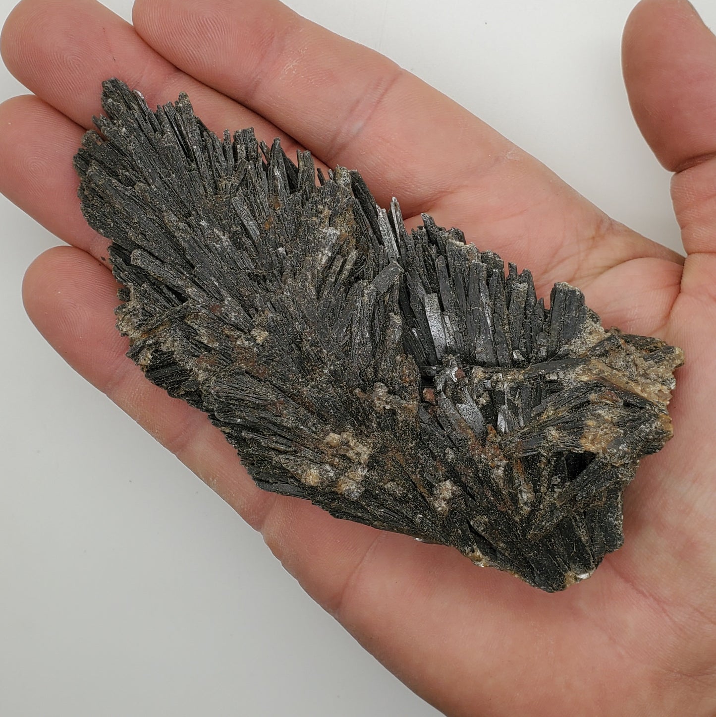 Large Black Kyanite Specimen