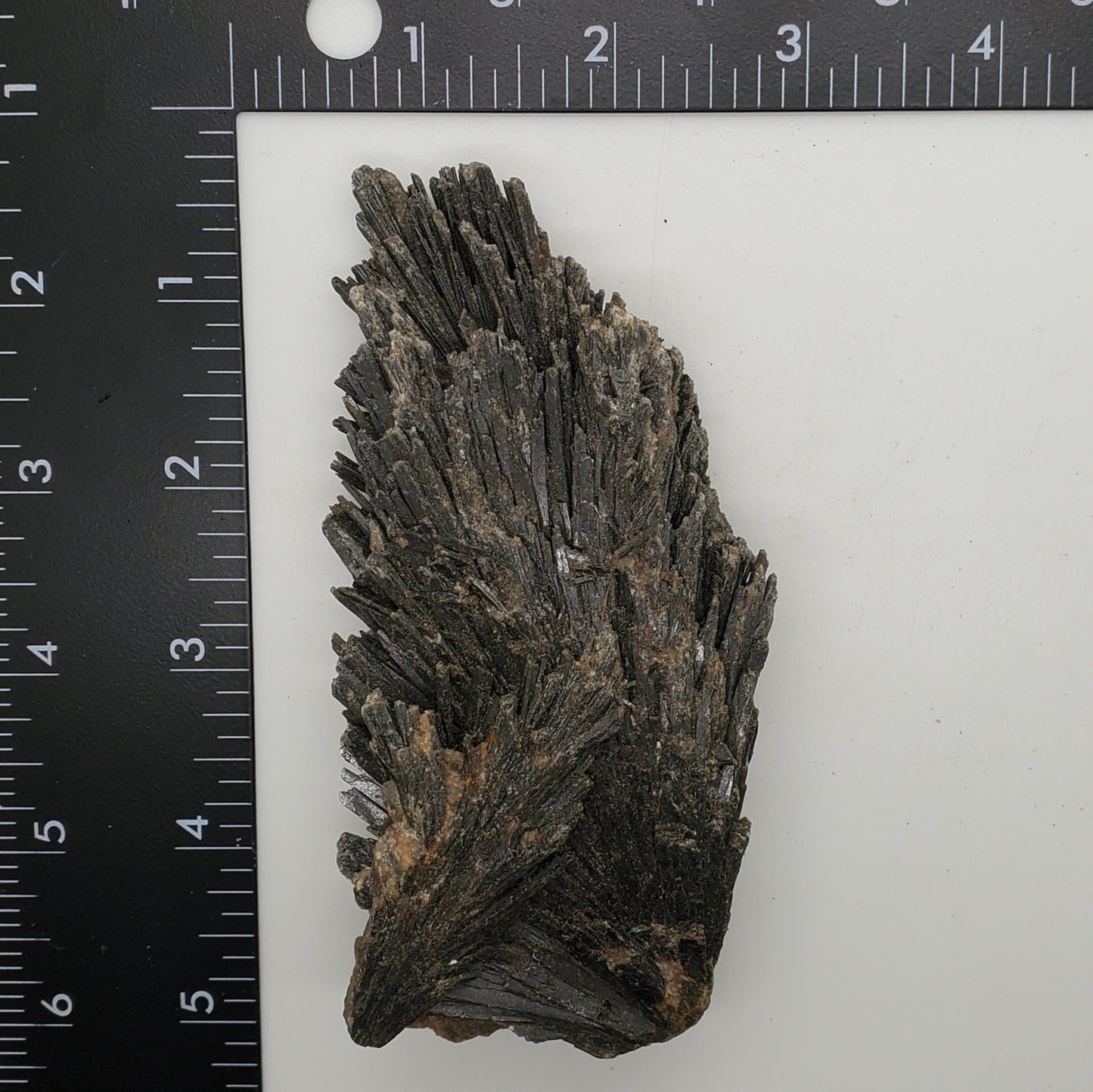 Large Black Kyanite Specimen