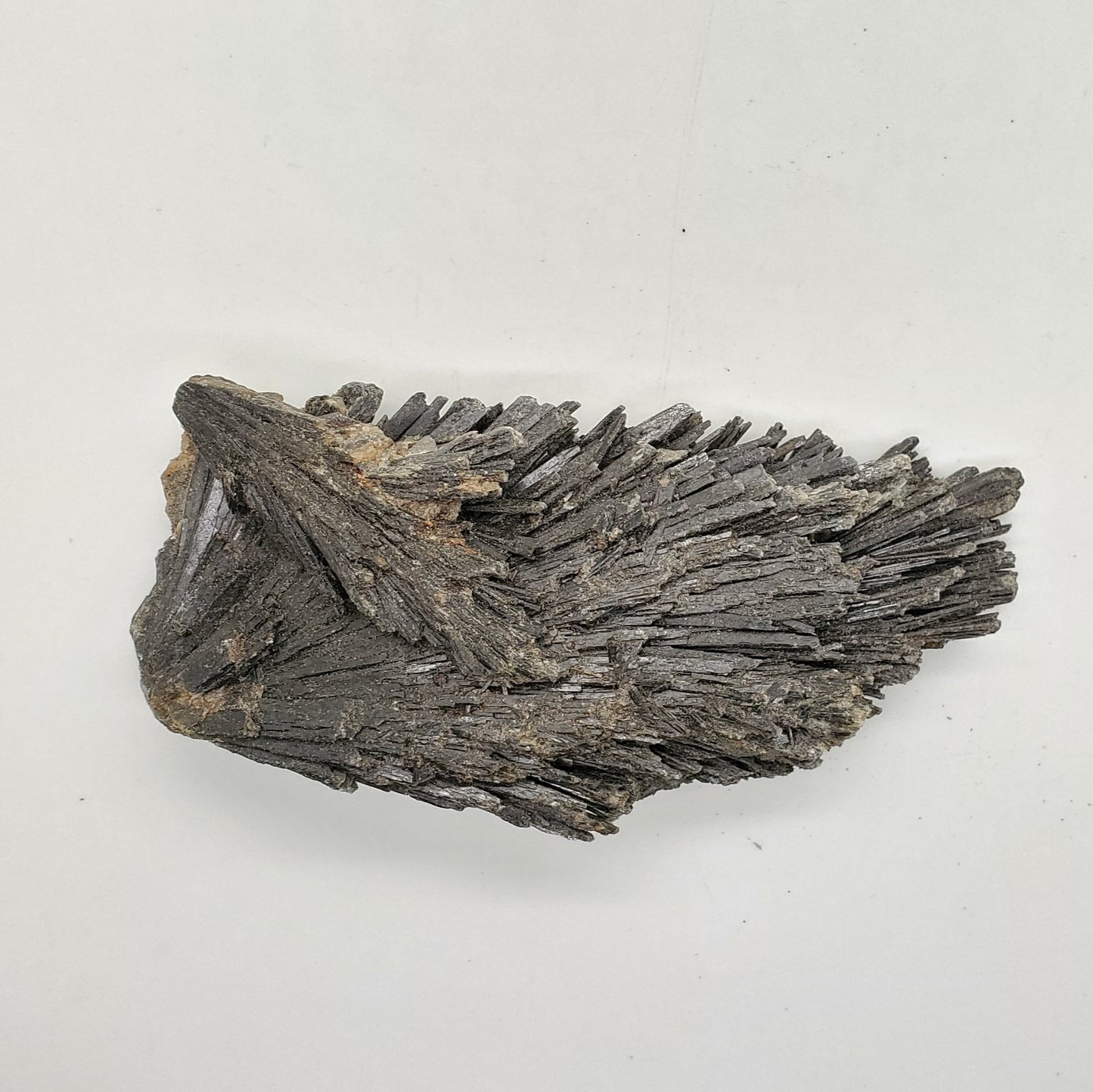 Large Black Kyanite Specimen