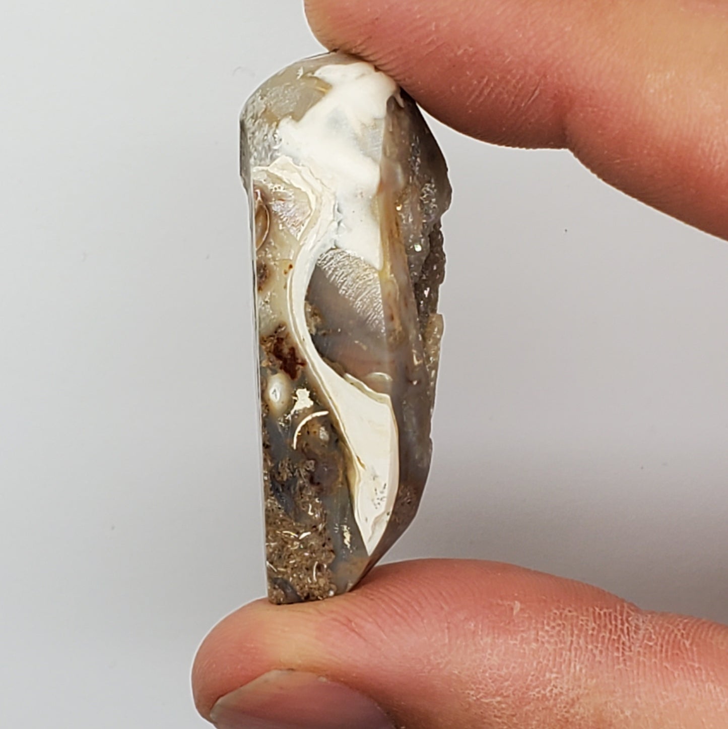 Gold Aura Spiralite Fossil