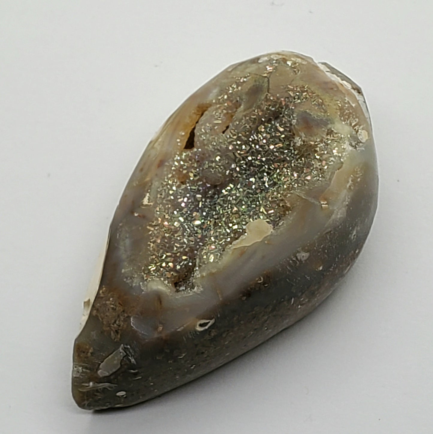 Gold Aura Spiralite Fossil