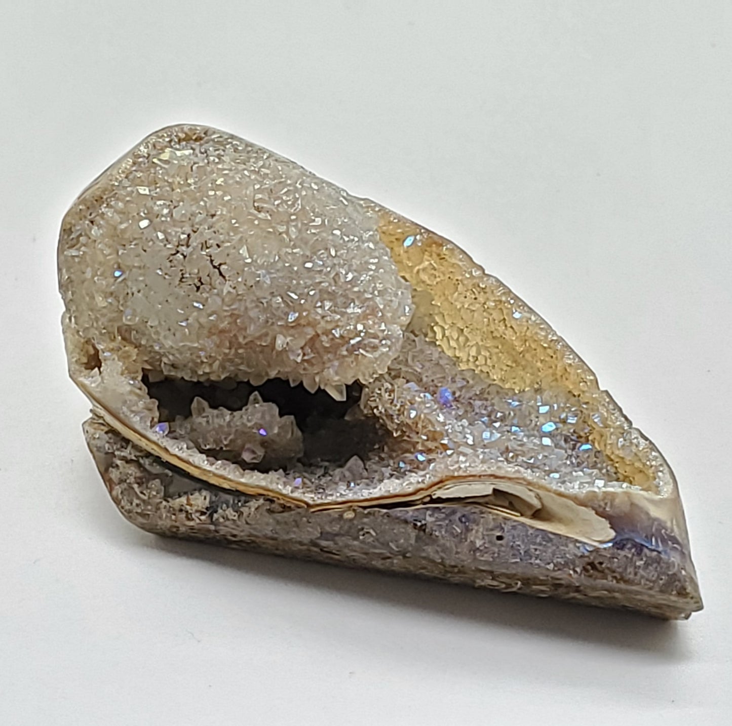 Spiralite Aura Druze Fossil