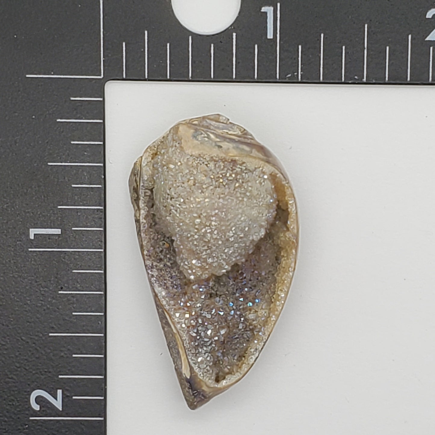 Spiralite Aura Druze Fossil
