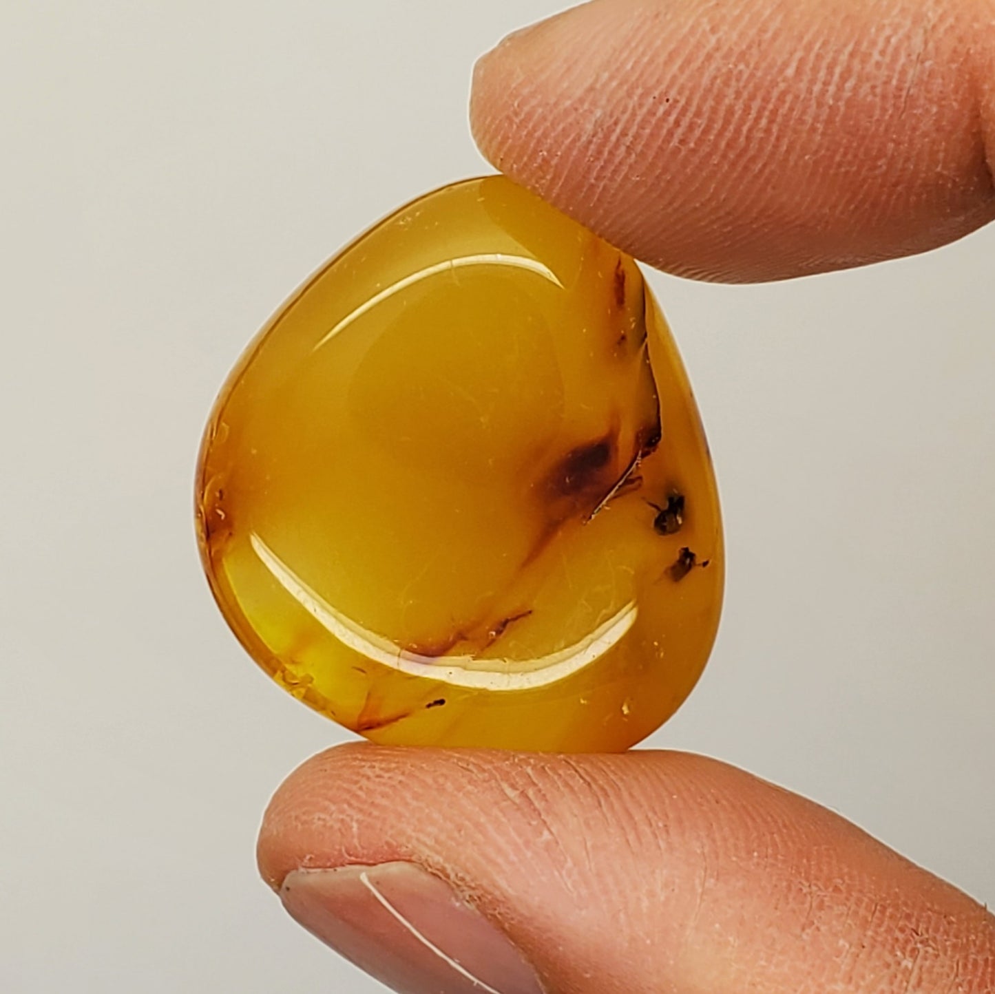 Colombian Amber with Inclusions