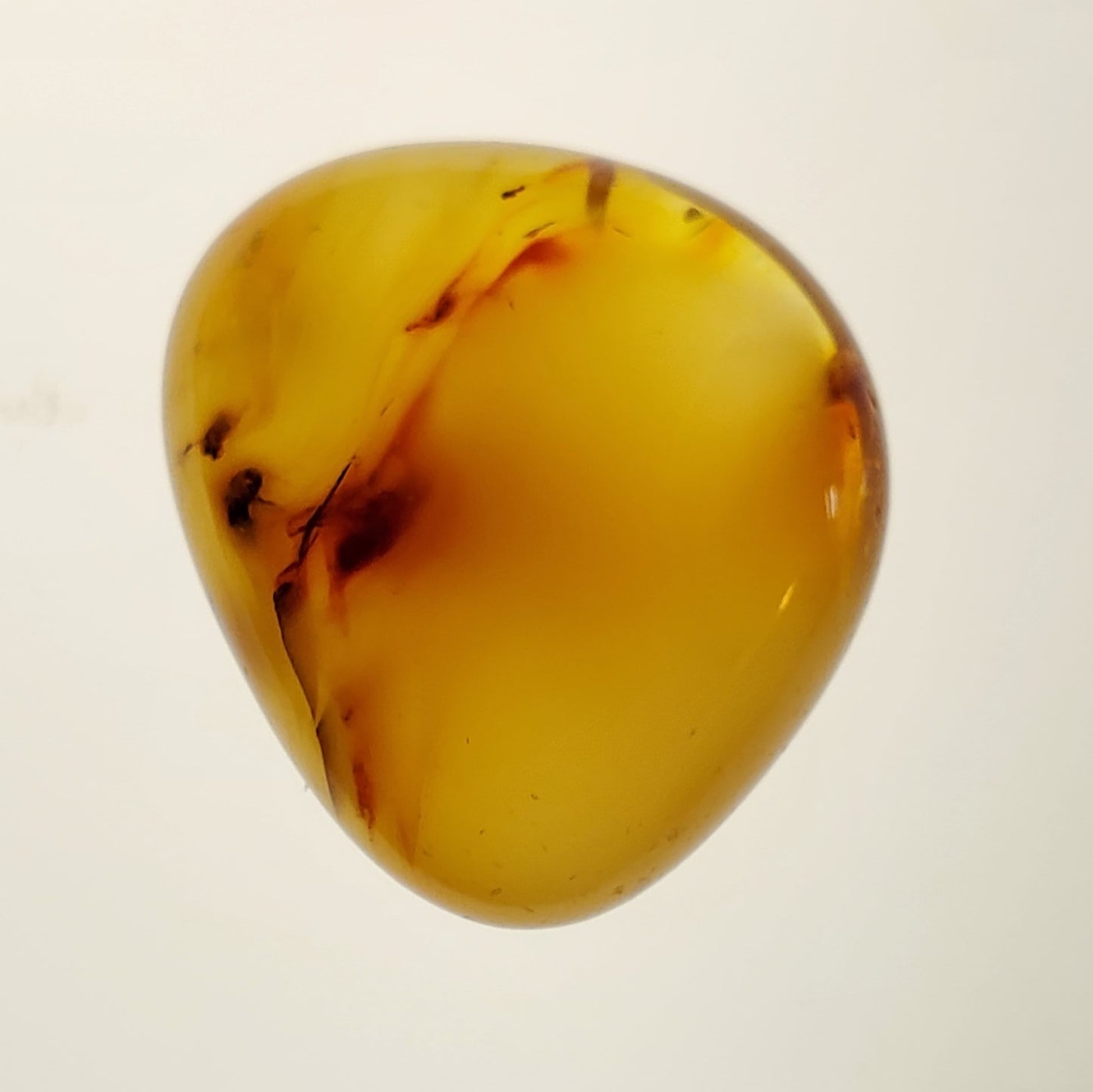 Colombian Amber with Inclusions