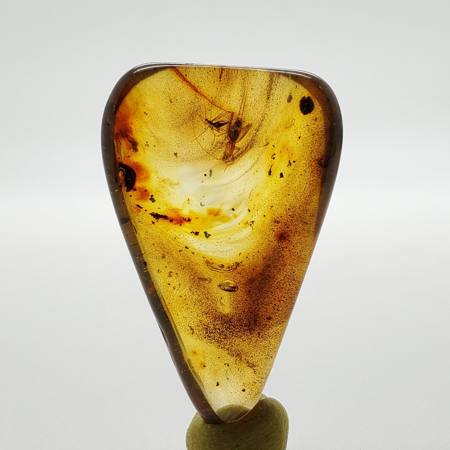 Colombian Amber with 3+ Insects and Inclusions