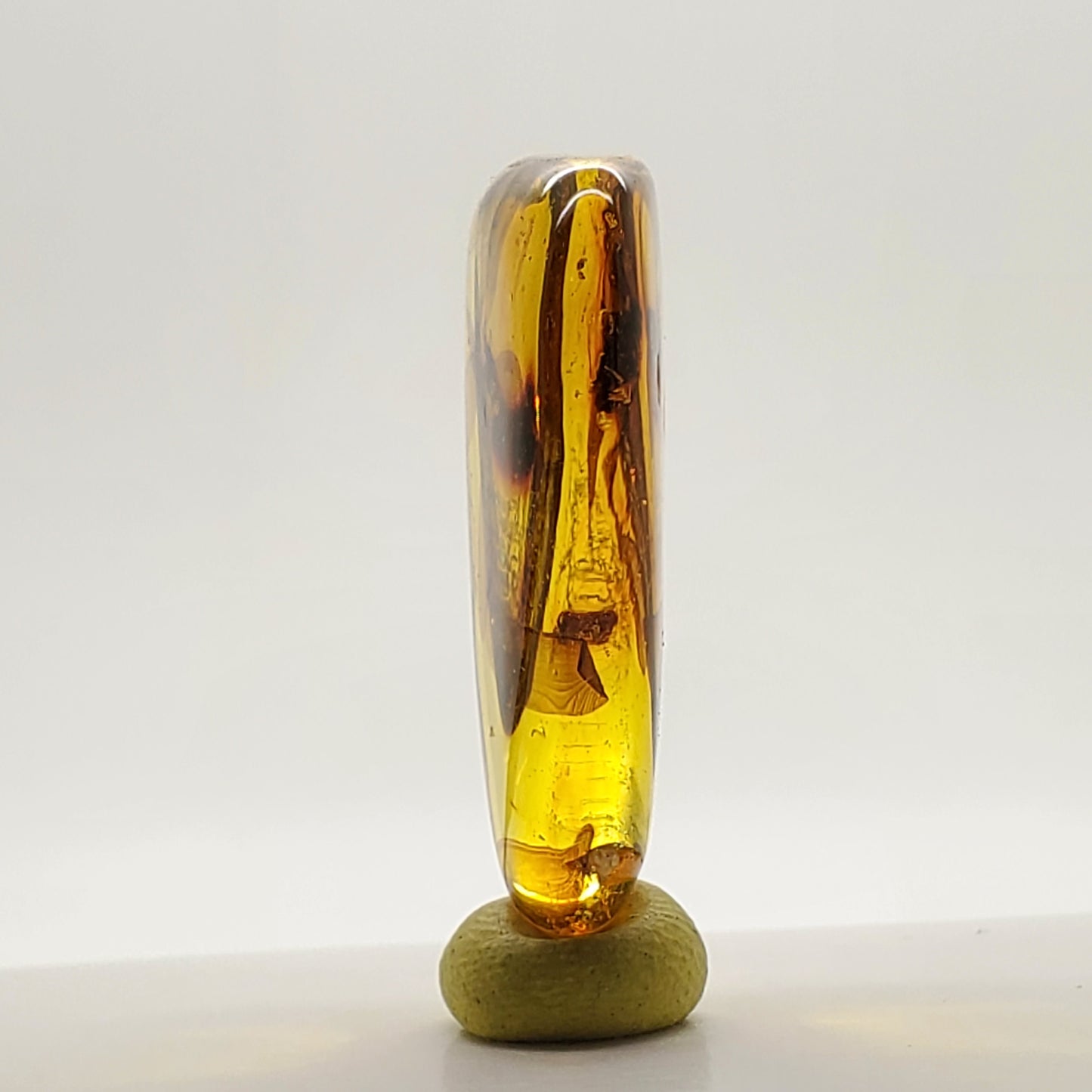 Colombian Amber with 2+ Insects and Inclusions