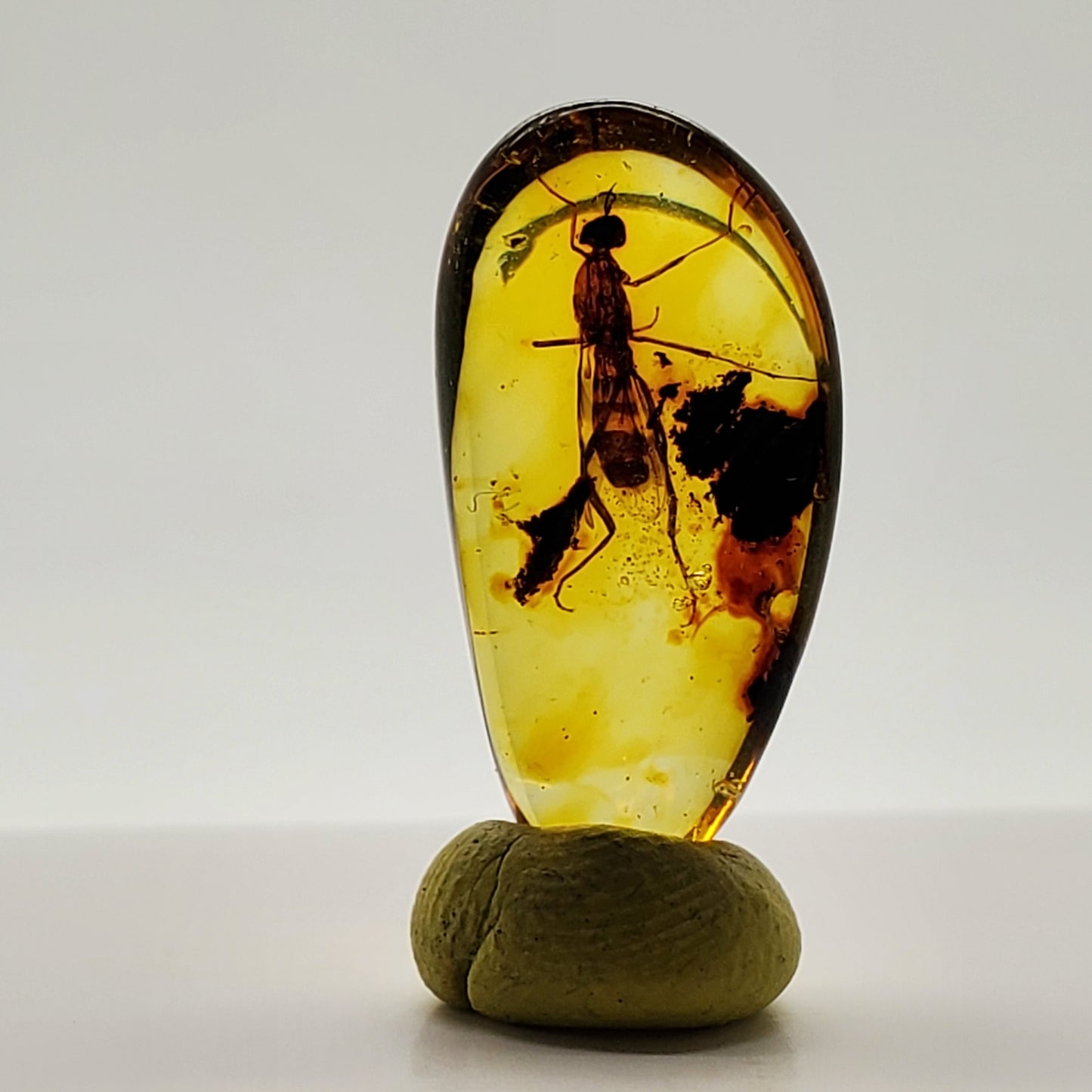 Superb Amber with Insect Inclusion
