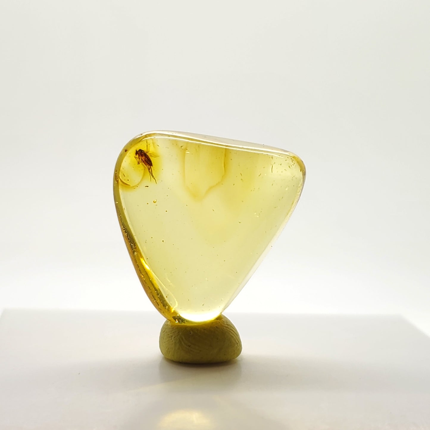 Colombian Amber with Insect Inclusion