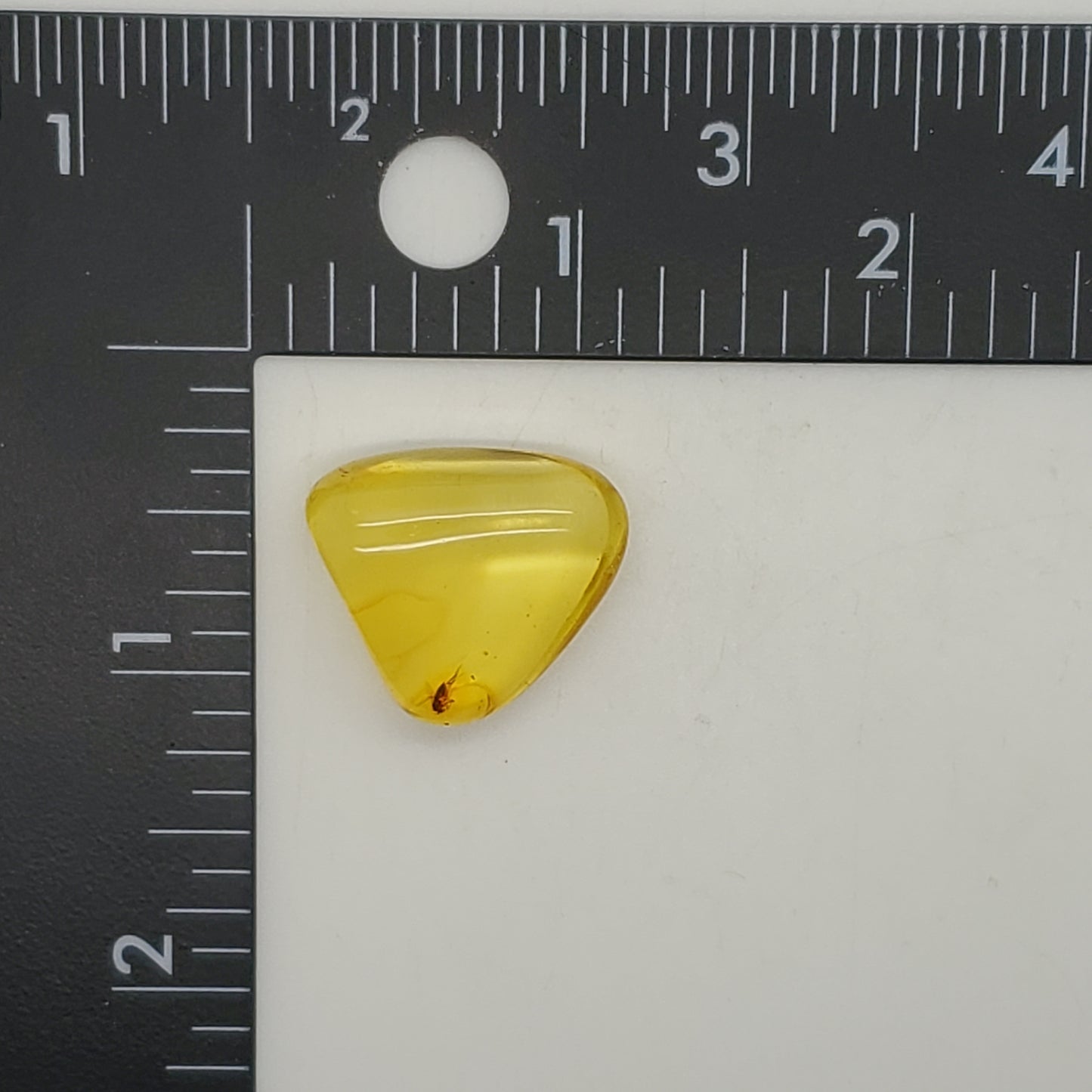 Colombian Amber with Insect Inclusion