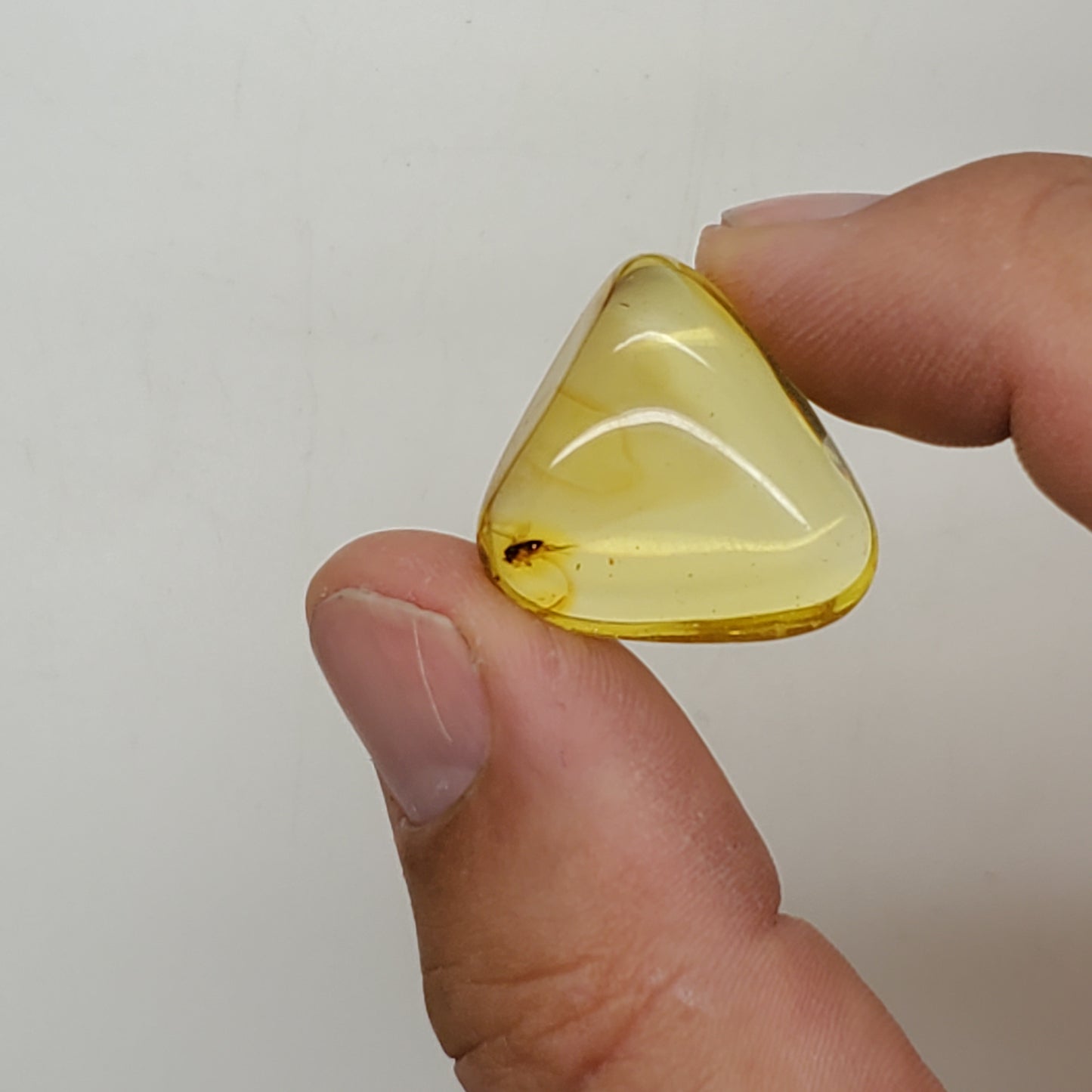 Colombian Amber with Insect Inclusion