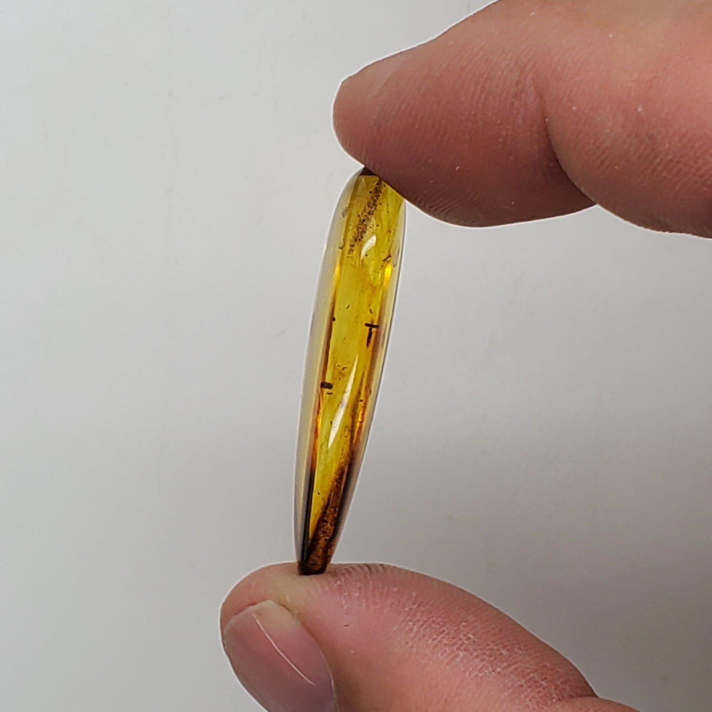 Colombian Amber with Insect and Inclusions