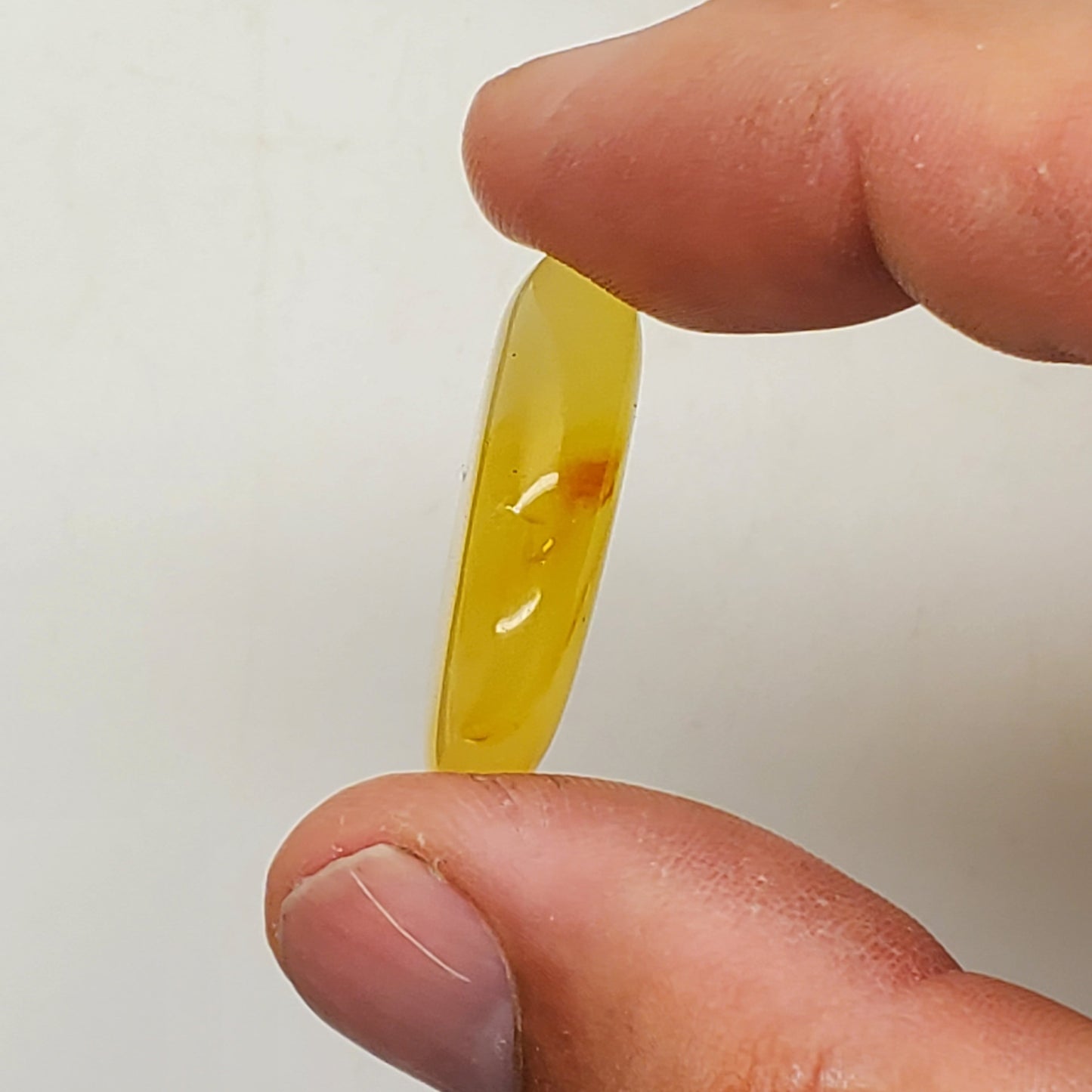 Amber with Inclusions