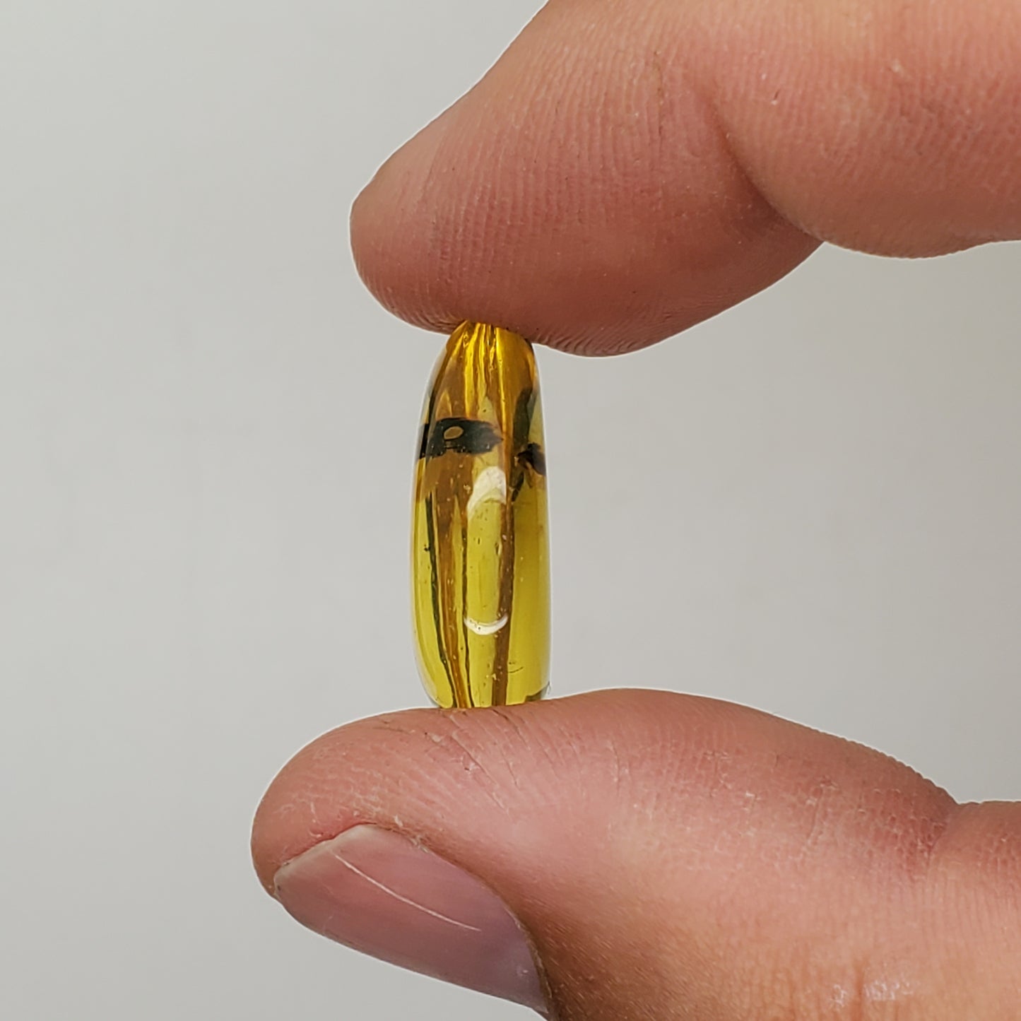 Amber with 4+ Insects and Inclusions