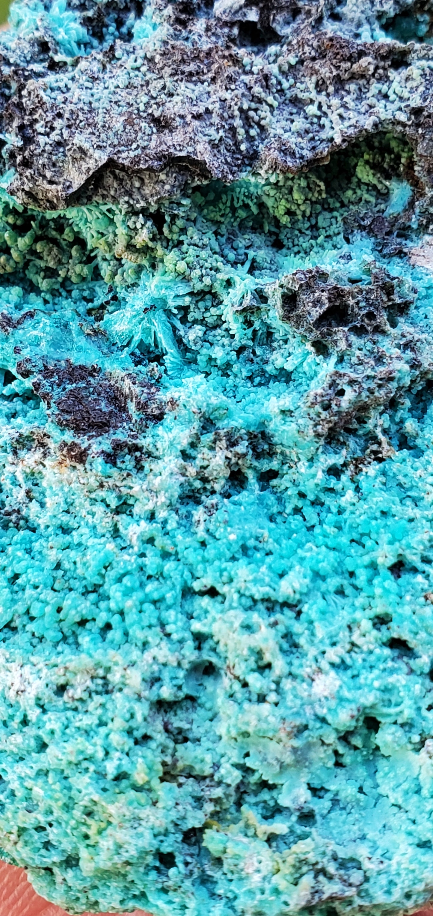 Chrysocolla Natural Specimen