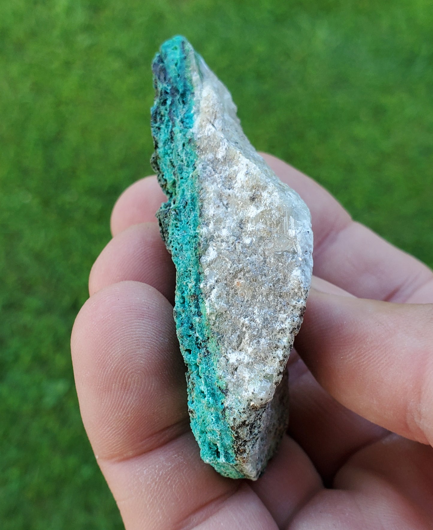 Chrysocolla Natural Specimen