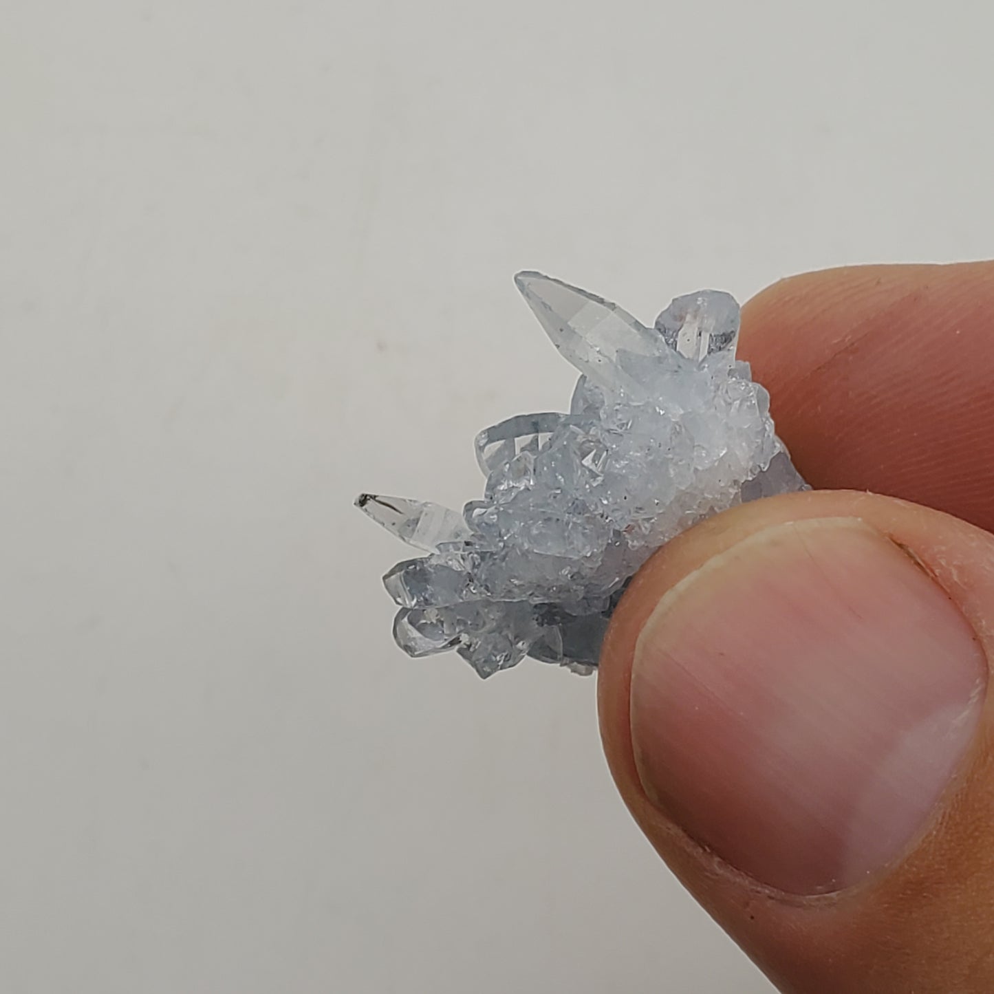 Celestite Cluster Mini Cluster