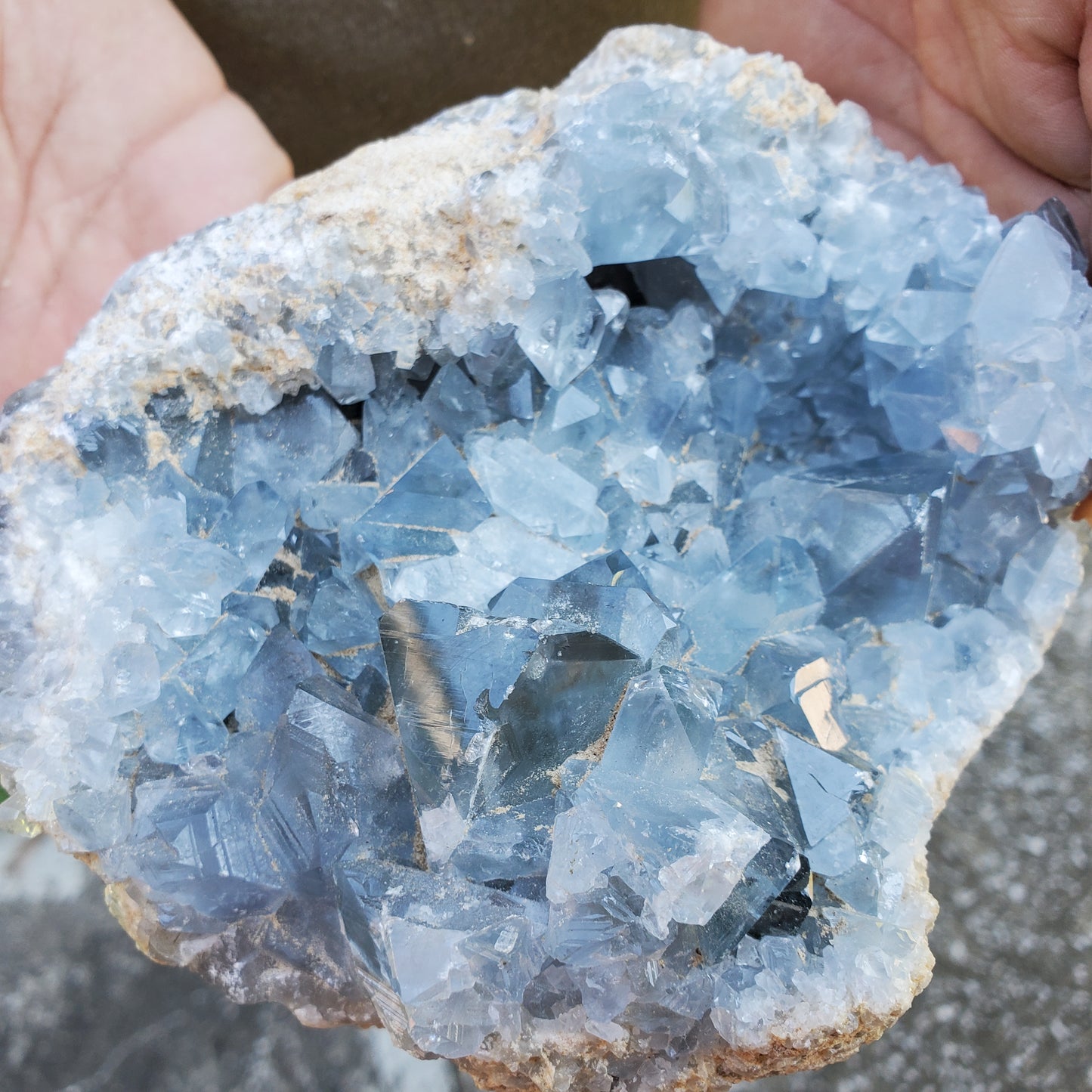 Celestite Cluster Medium