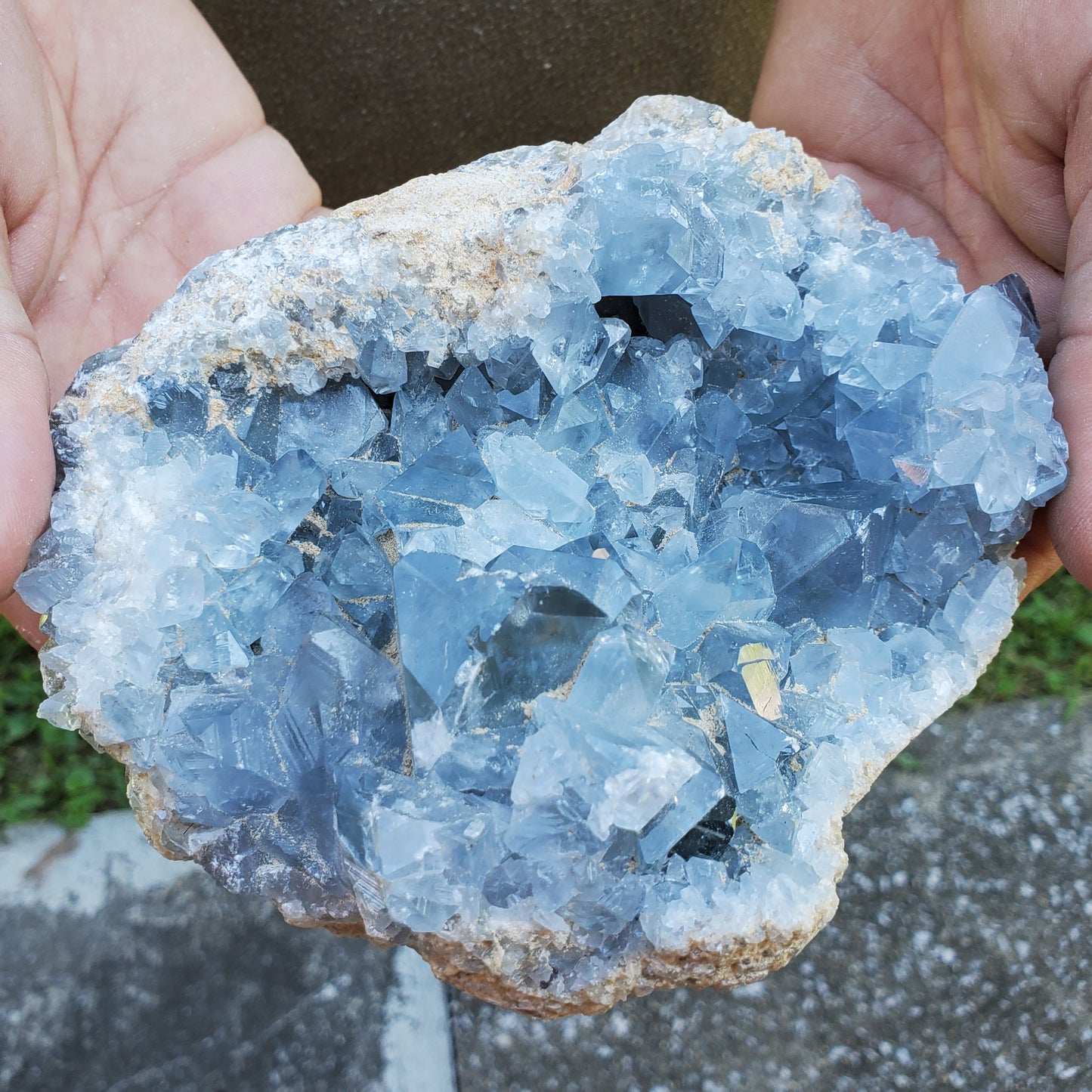 Celestite Cluster Medium