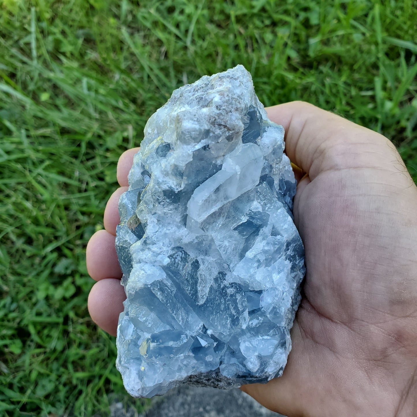 Celestite Cluster Medium