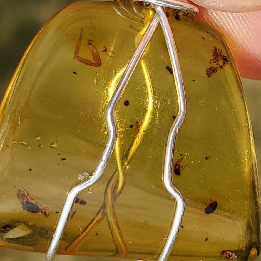 Amber with insects Wire Wrap Pendant1