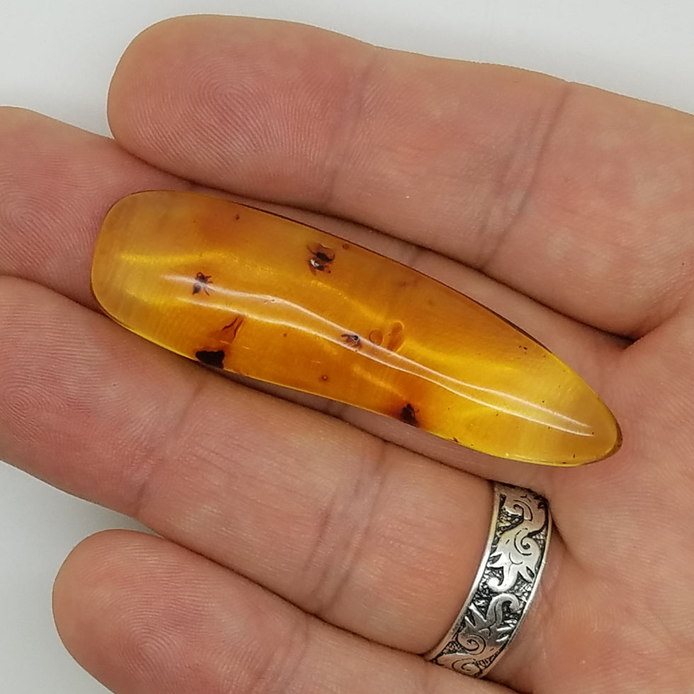 amber specimen 262